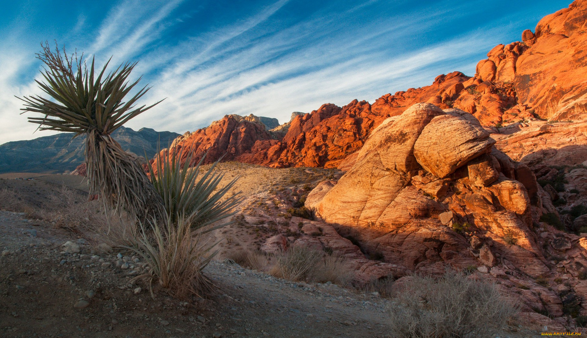 природа, пустыни, простор