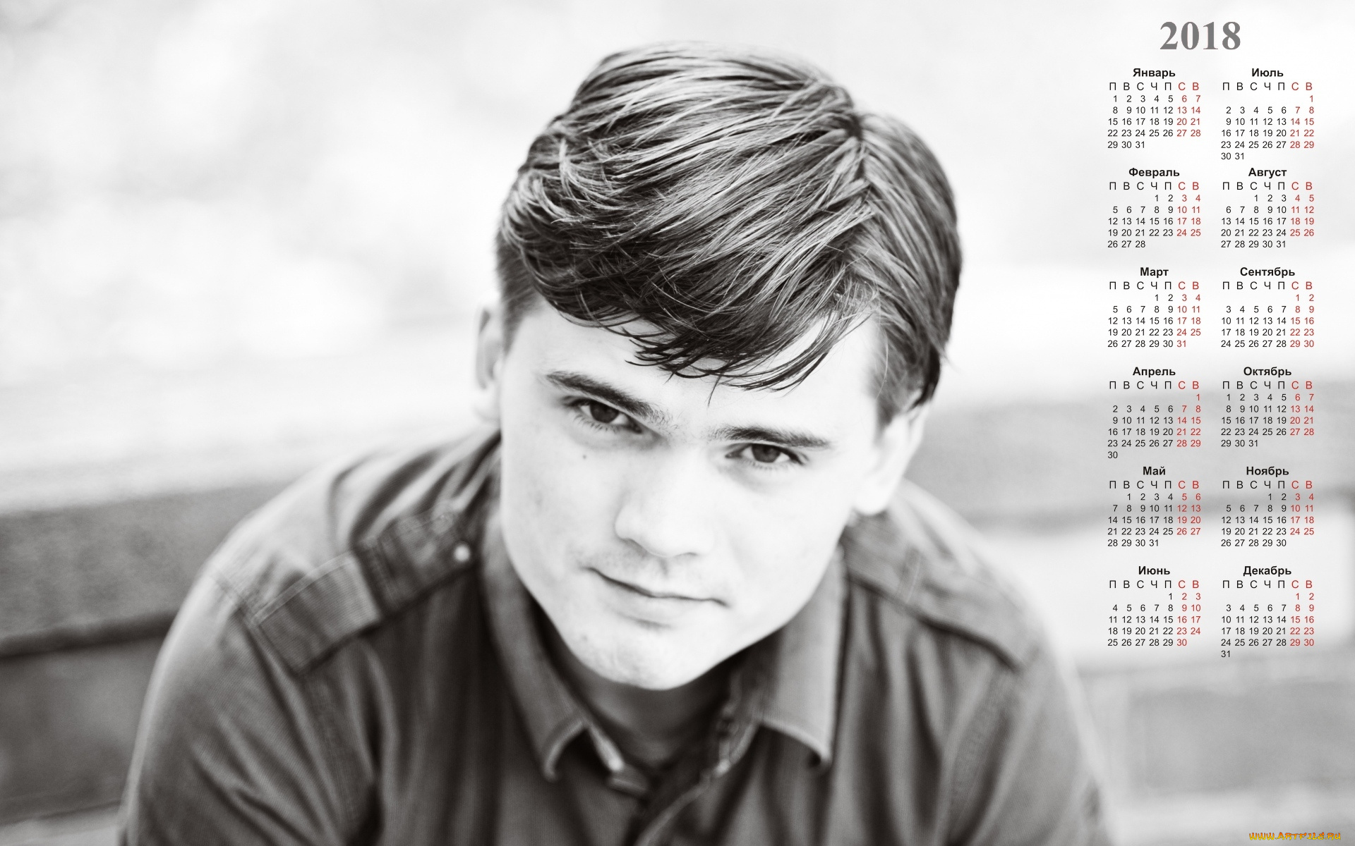 dzhejk, llojd, календари, знаменитости, парень, актер, взгляд, лицо