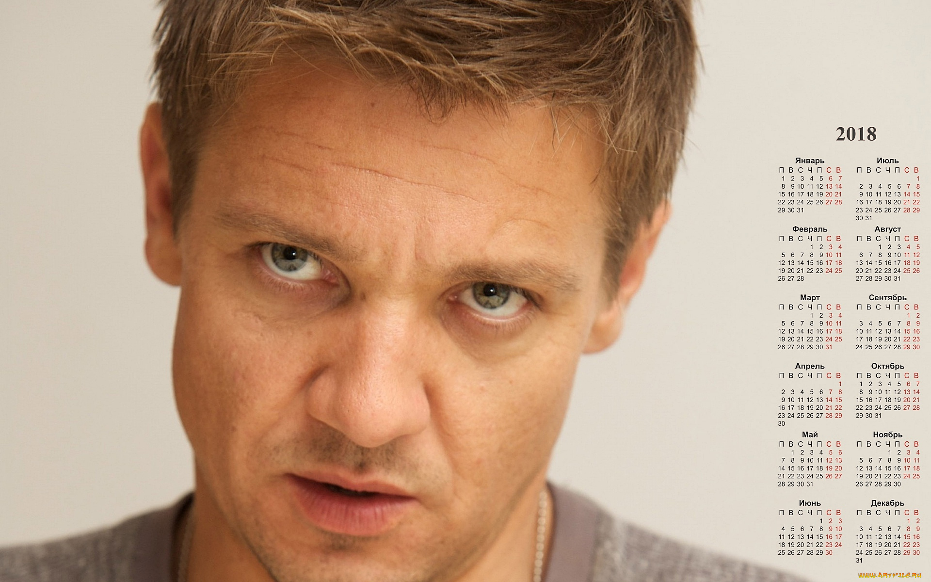 dzheremi, renner, календари, знаменитости, мужчина, актер, взгляд, лицо