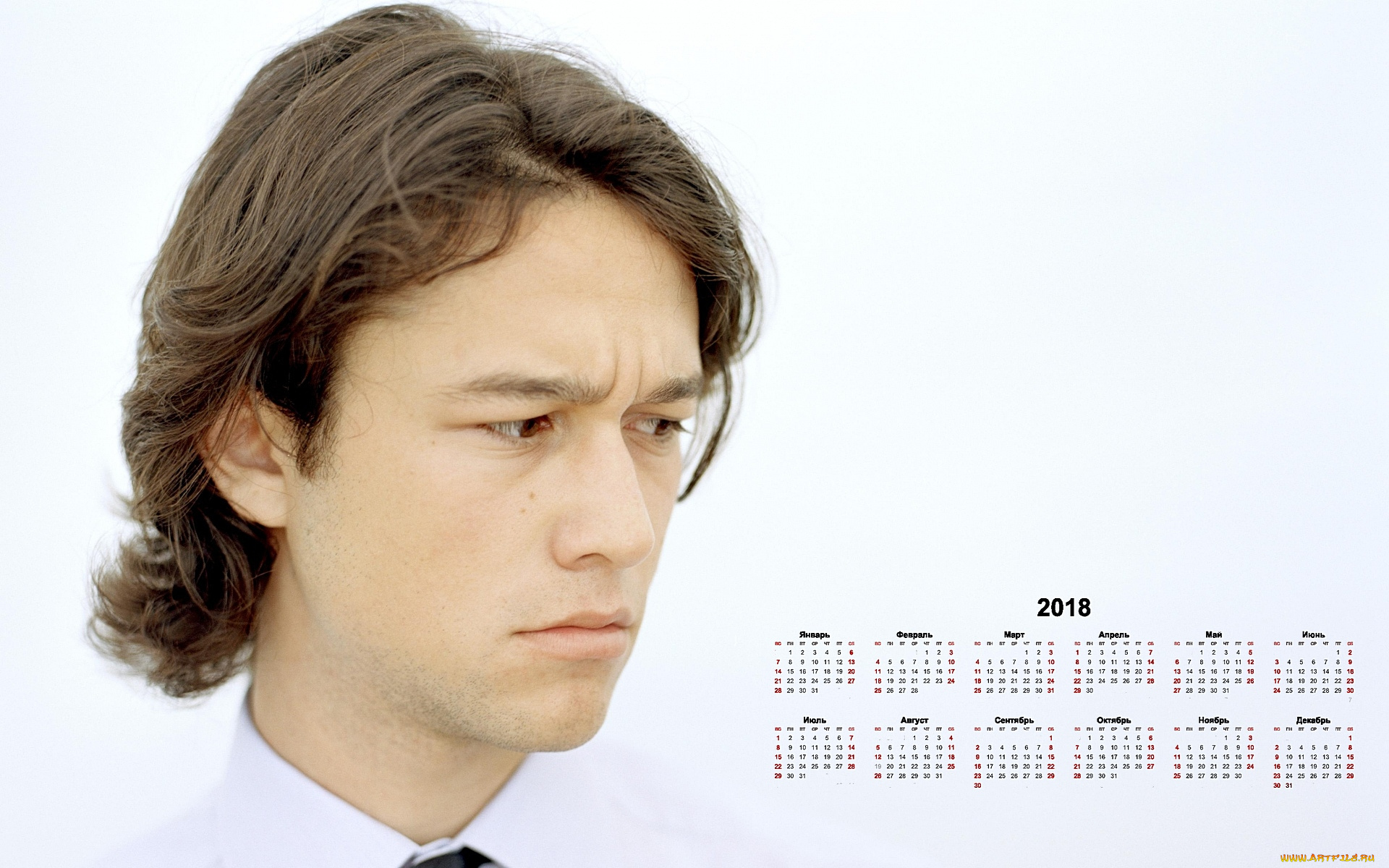 dzhozef, gordon-levitt, календари, знаменитости, парень, актер, профиль