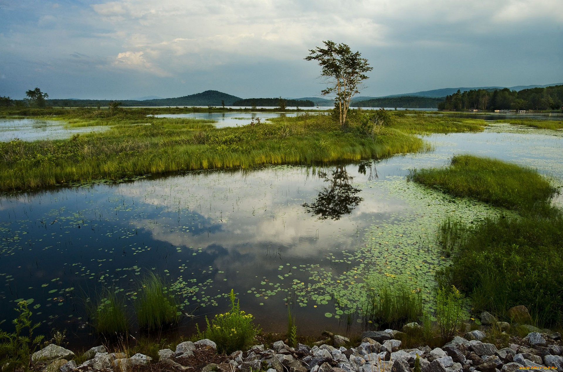 природа, реки, озера, простор