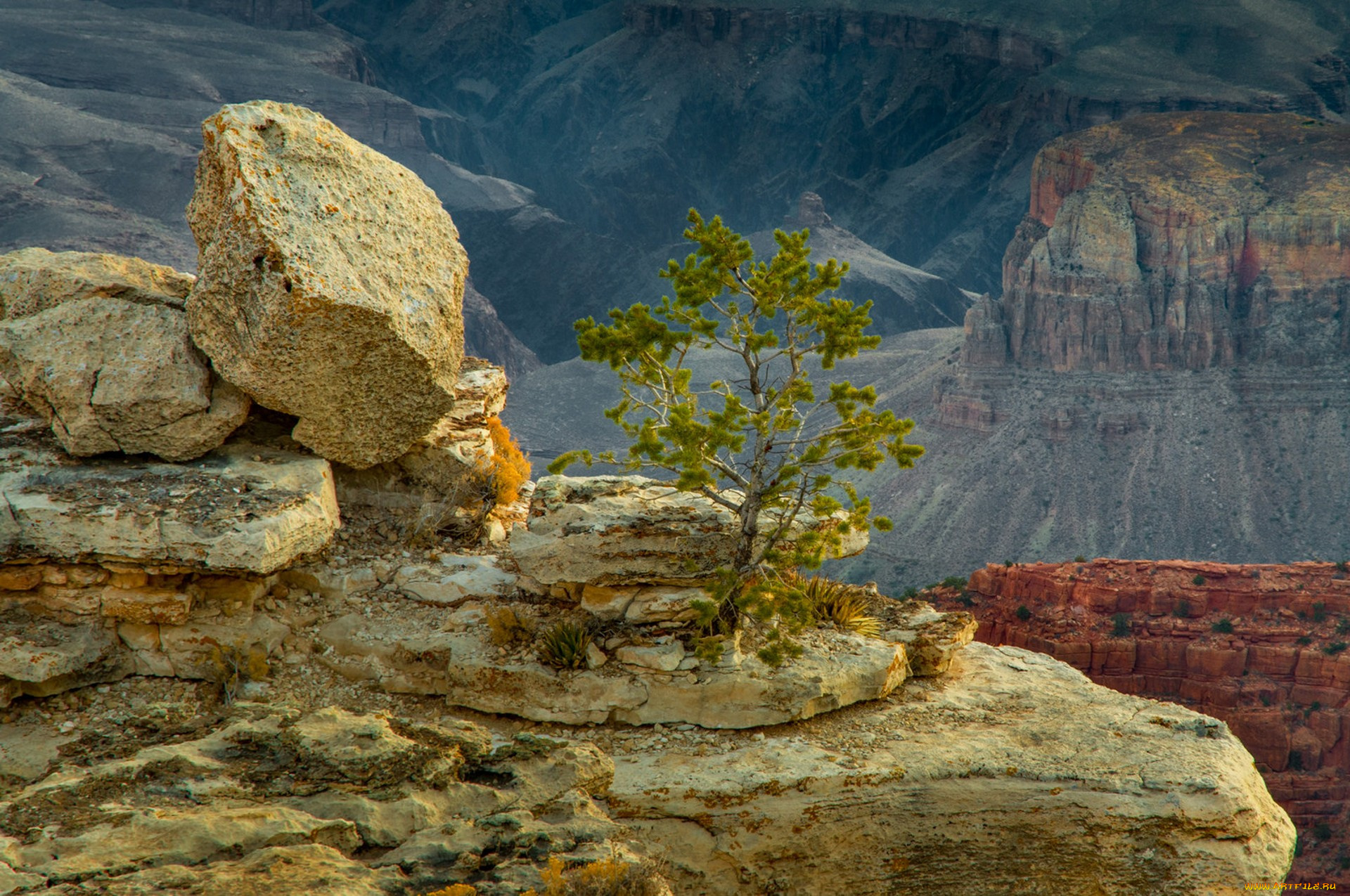 природа, горы, простор