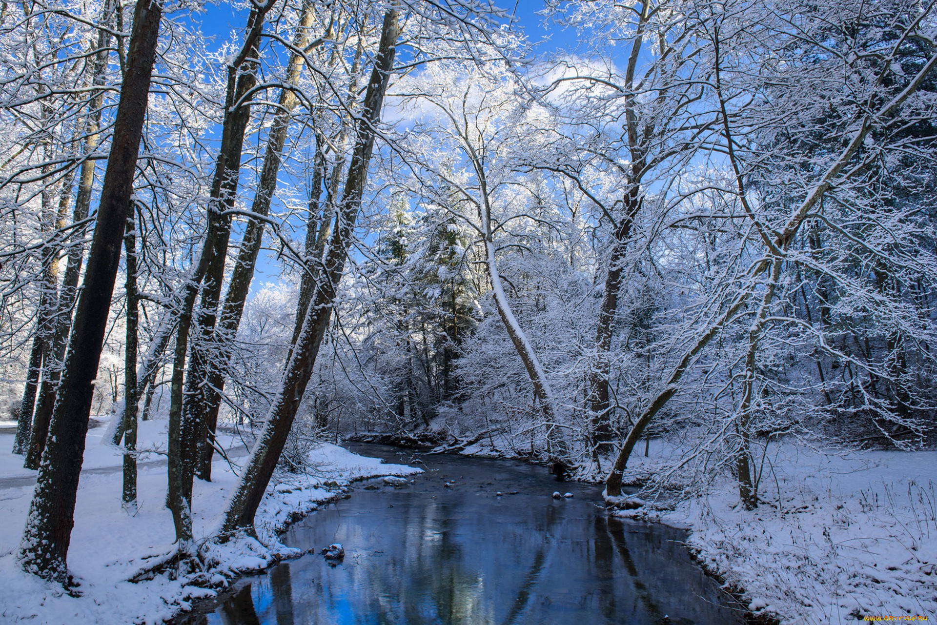 природа, зима, простор