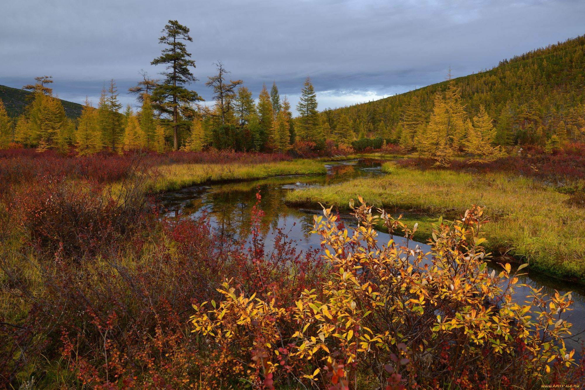 природа, пейзажи, осень, колыма, ручей, неведомый