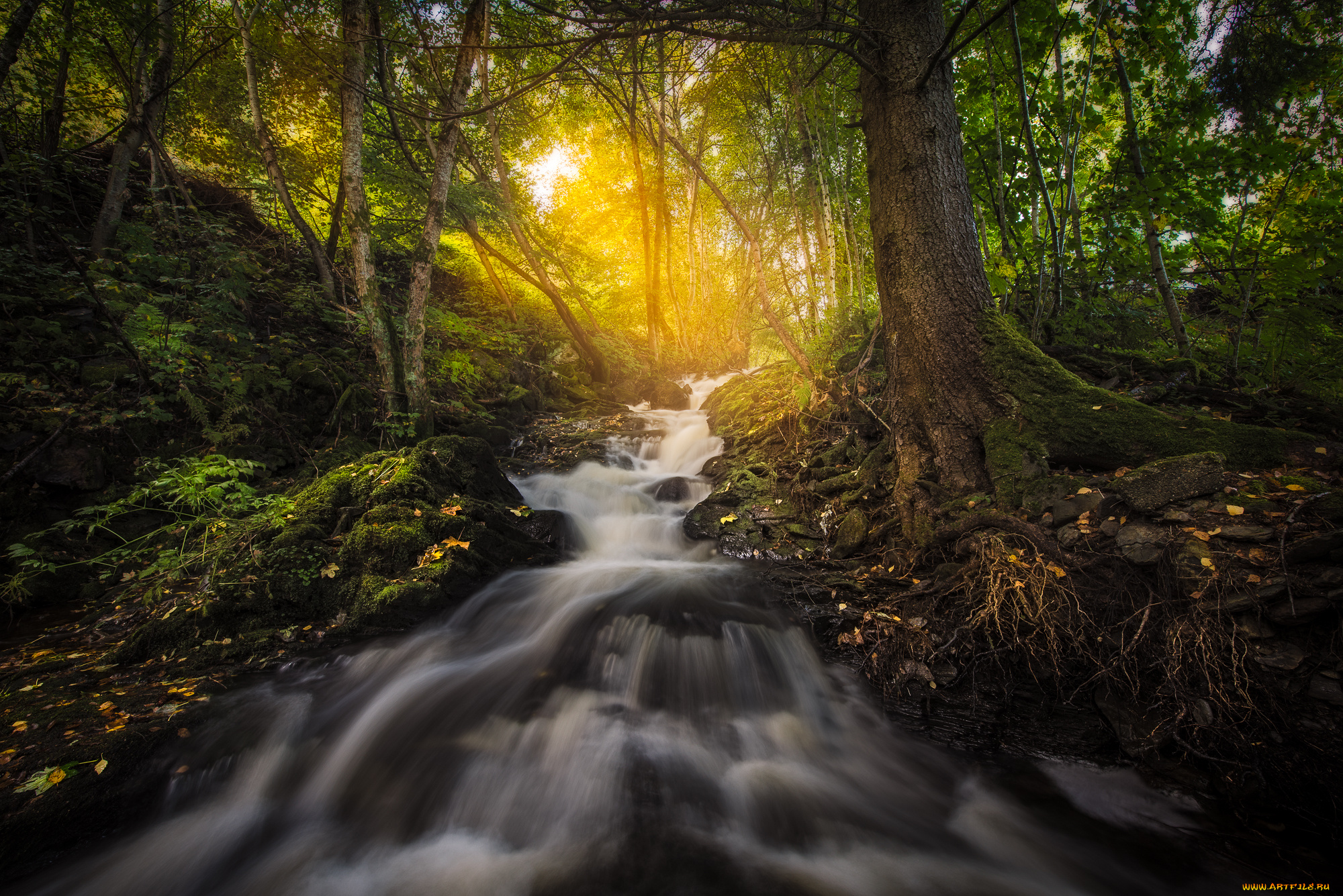 природа, реки, озера, простор