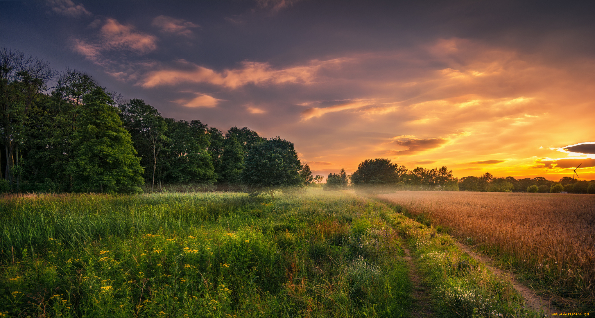 природа, пейзажи, простор