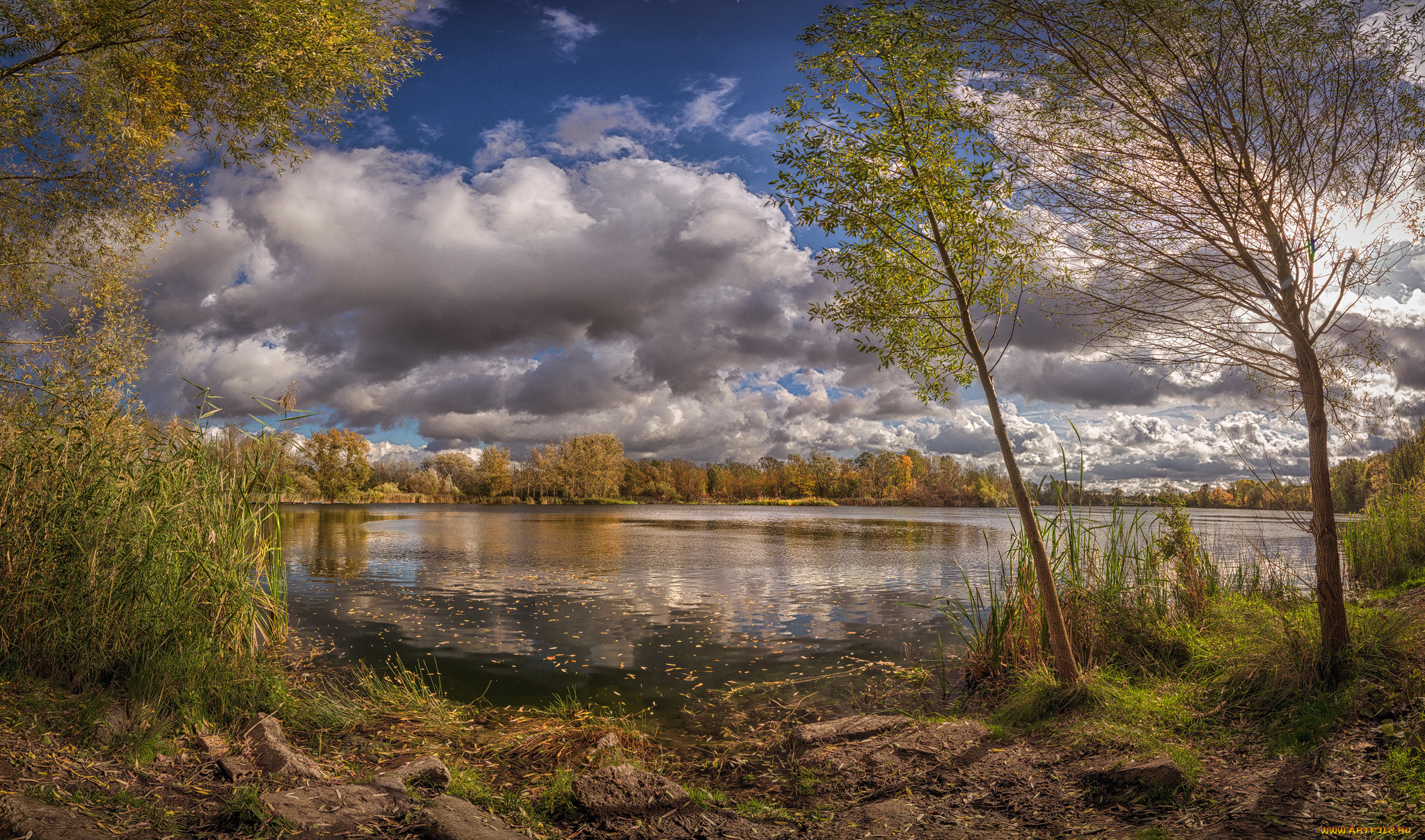 природа, реки, озера, простор