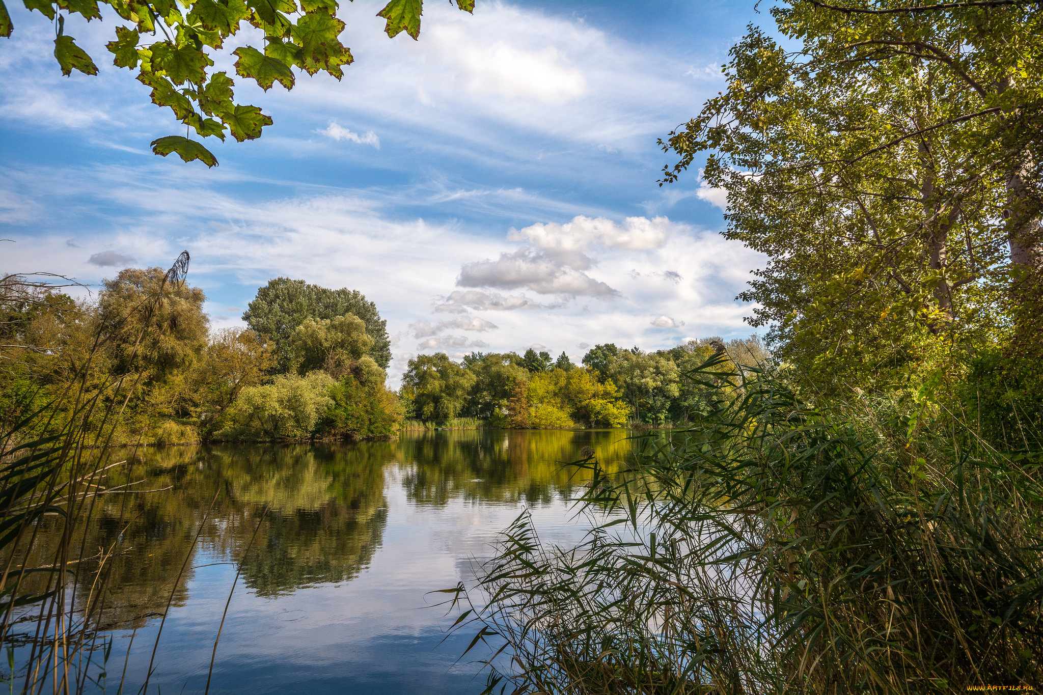 природа, реки, озера, простор