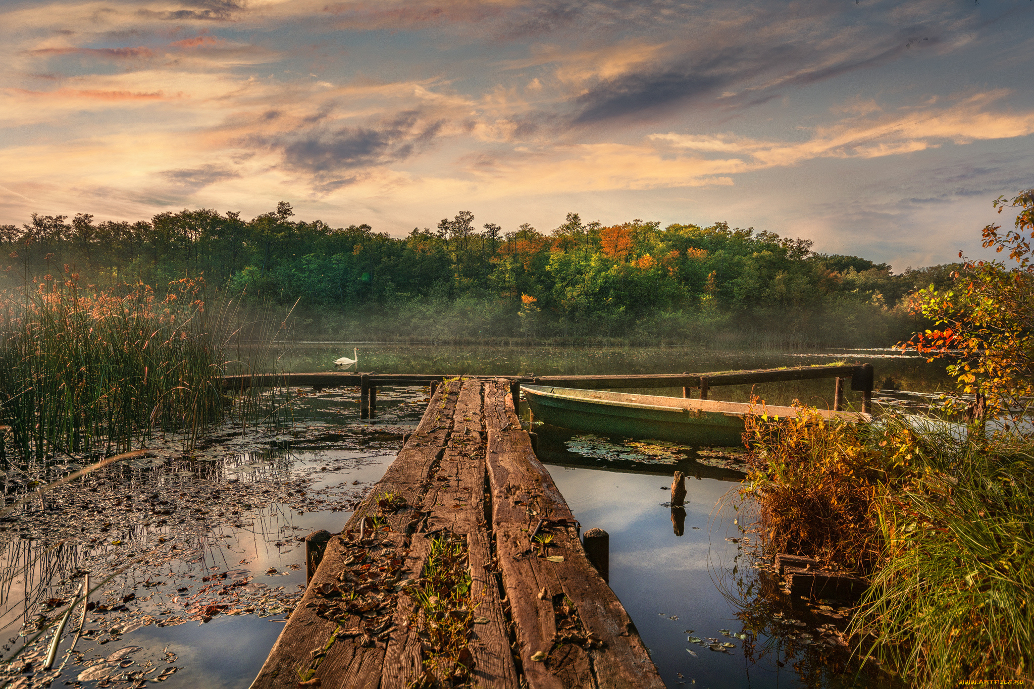 природа, реки, озера, простор