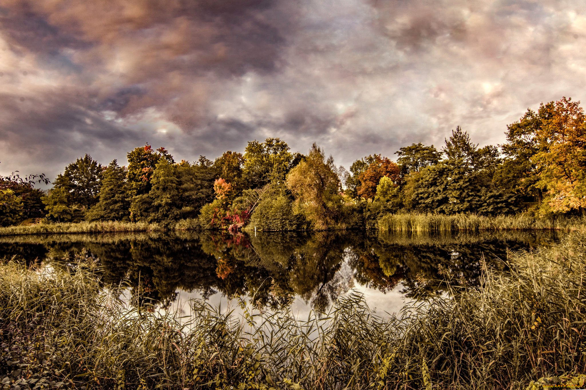 природа, реки, озера, простор