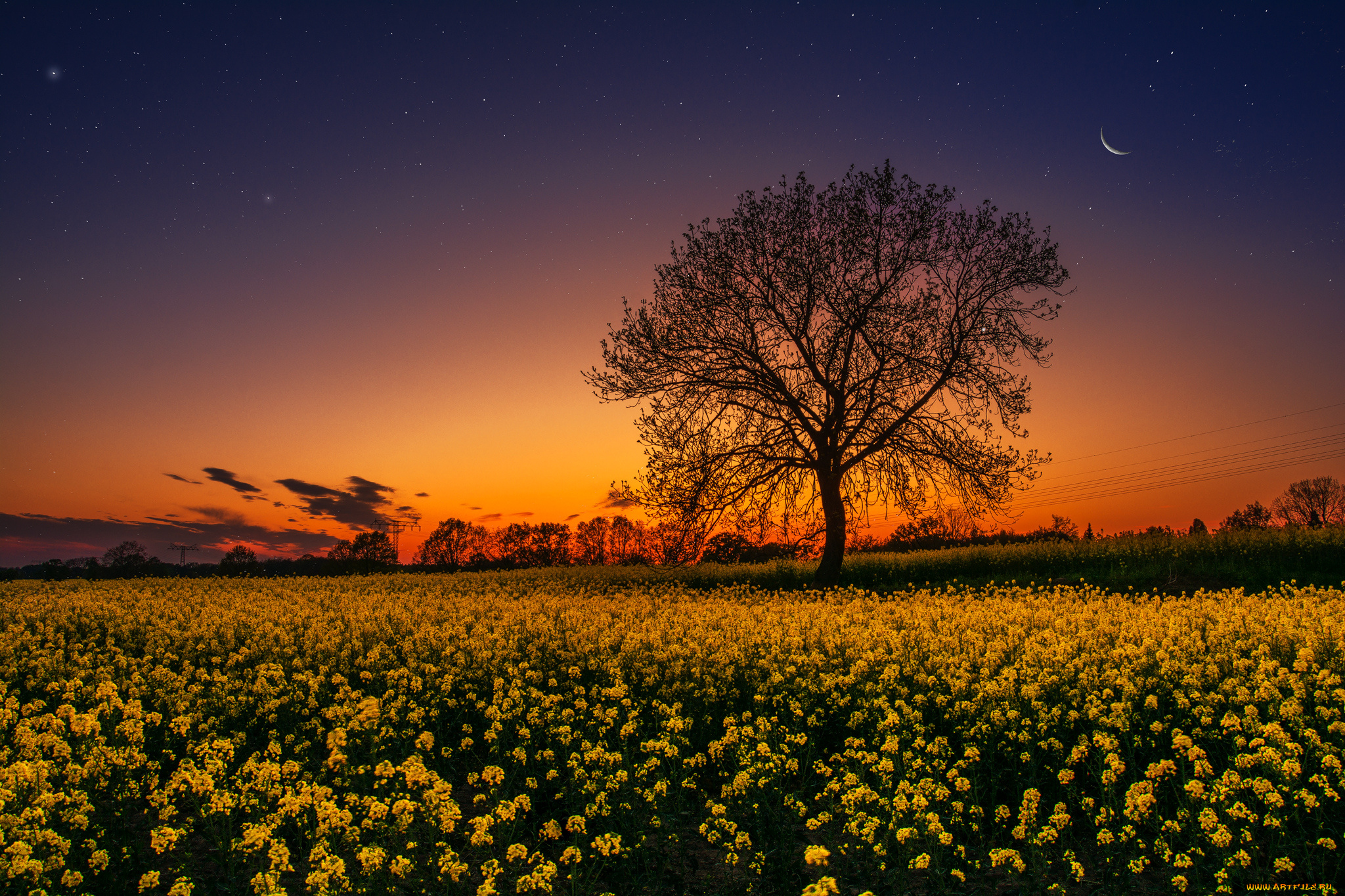 природа, восходы, закаты, простор