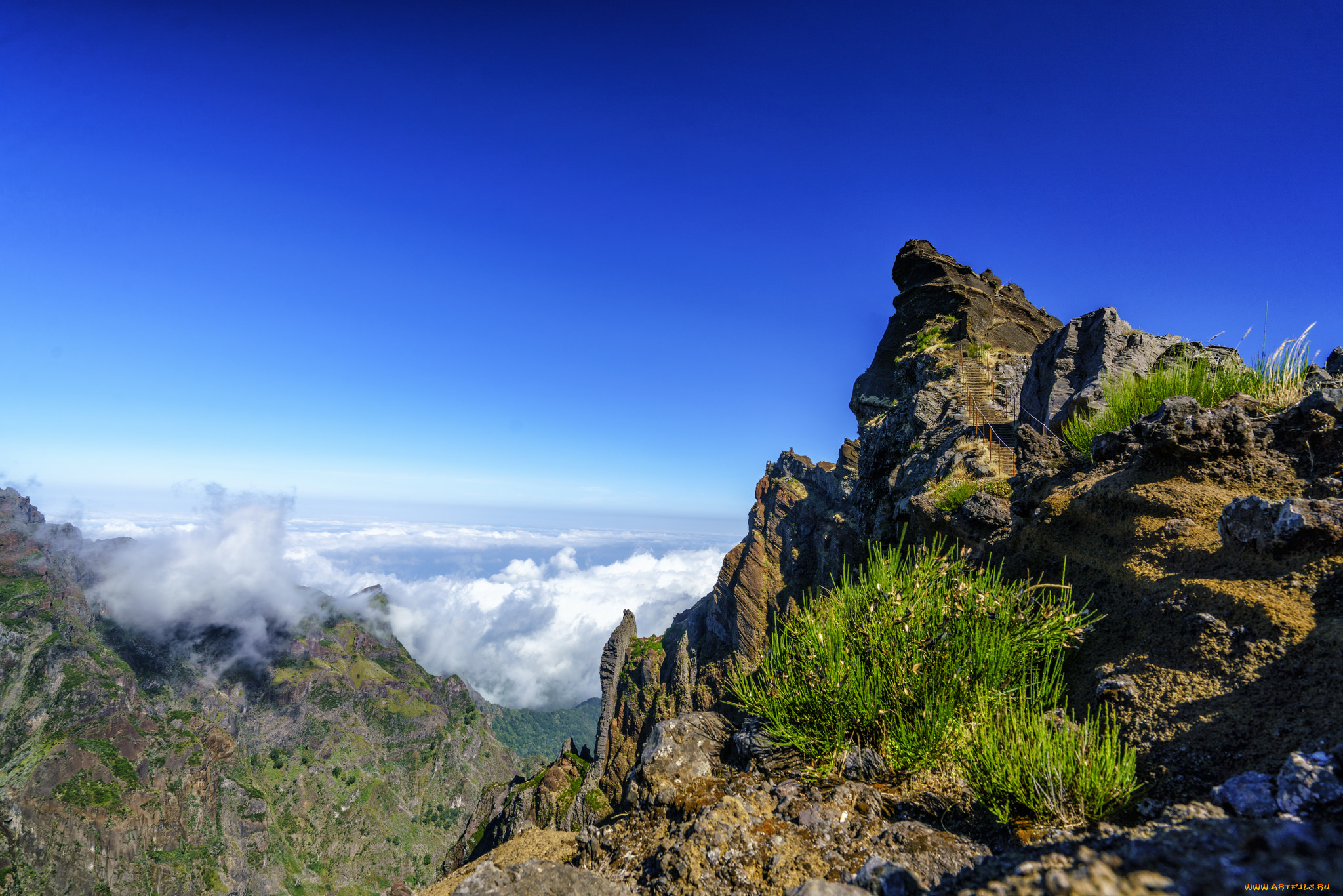 природа, горы, простор