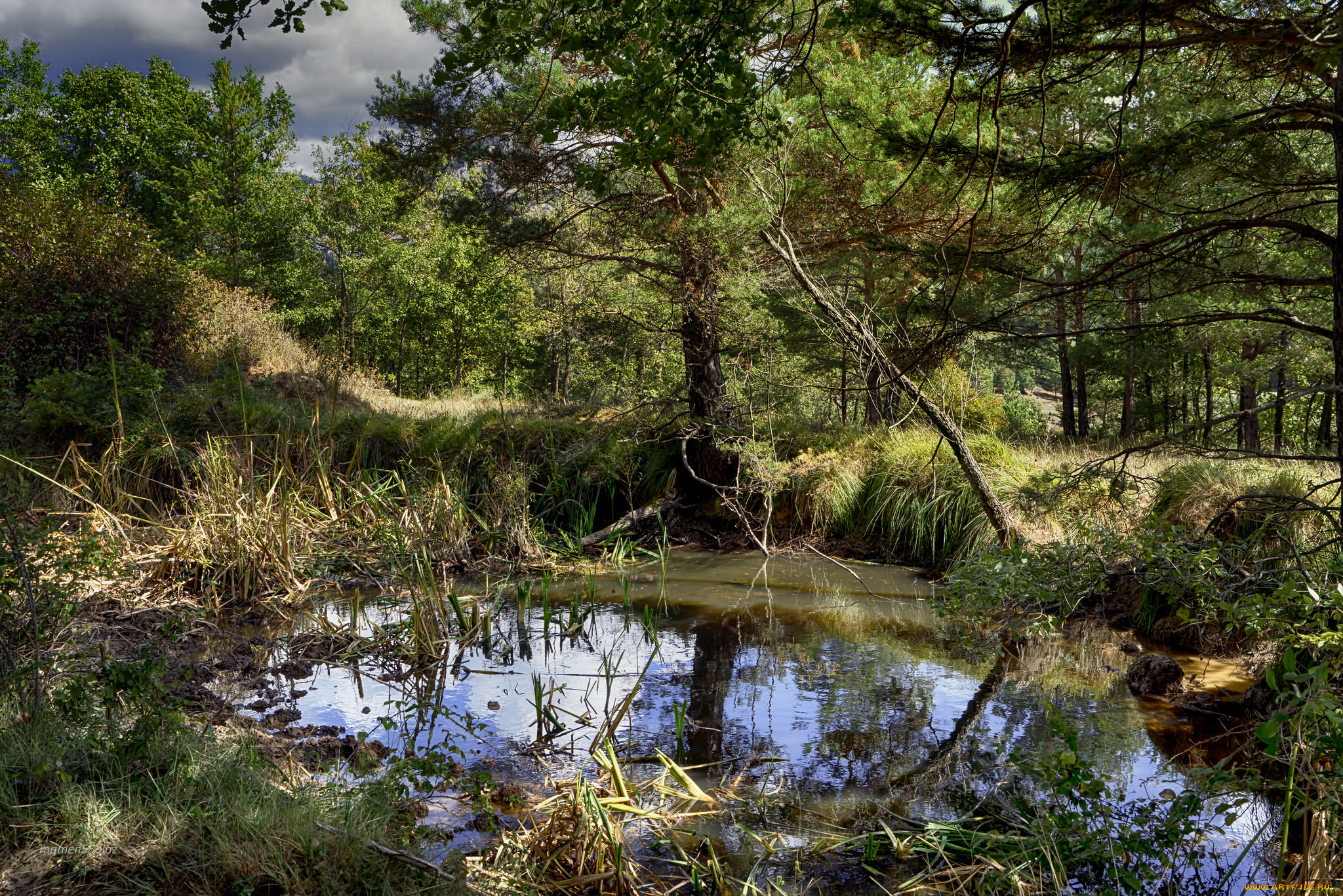 природа, реки, озера, простор