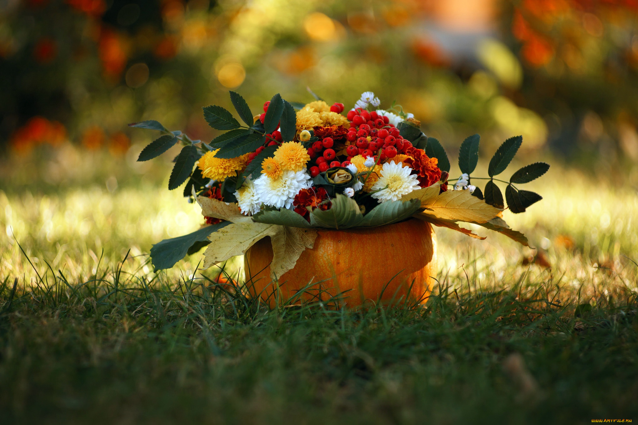 цветы, букеты, , композиции, осень, природа