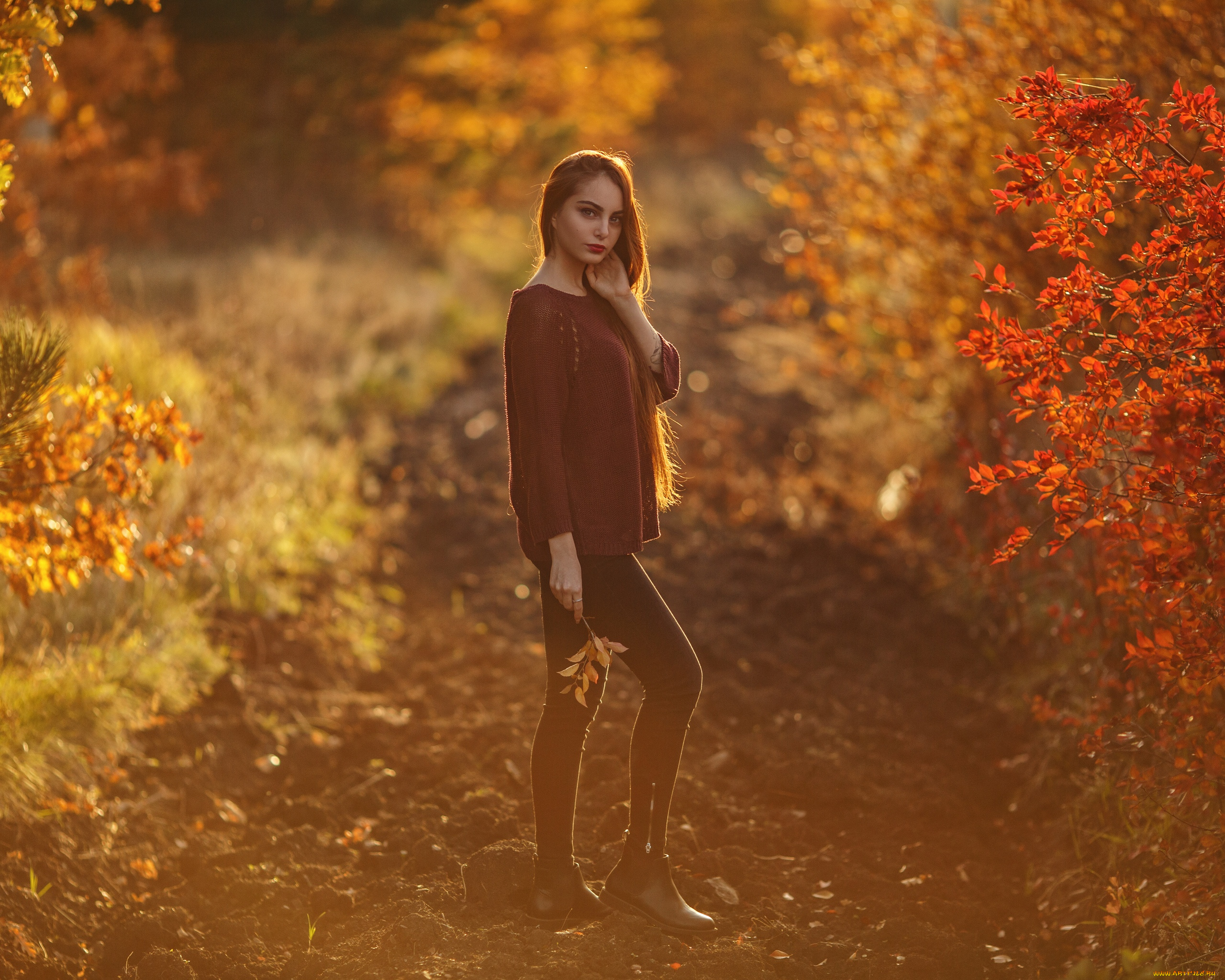 девушка, девушки, -unsort, , рыжеволосые, и, другие, модель