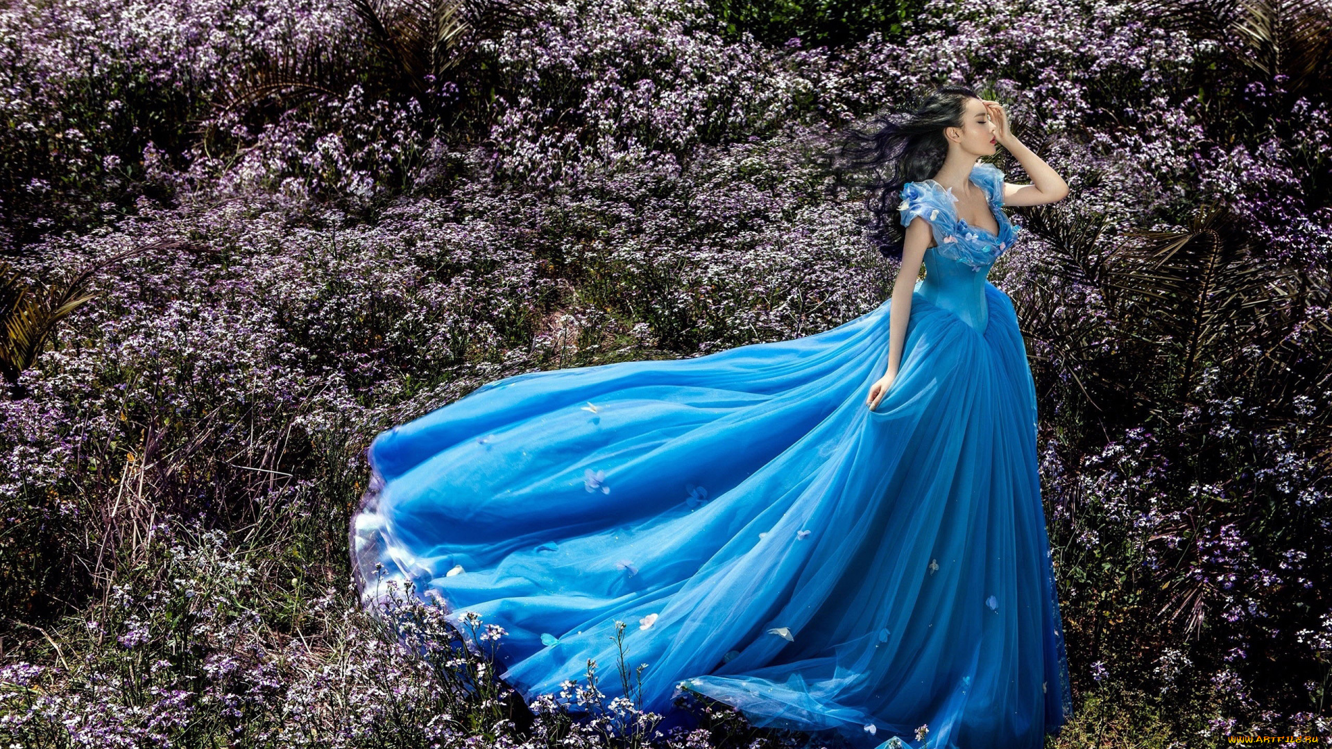 девушки, -, азиатки, луг, платье, голубое