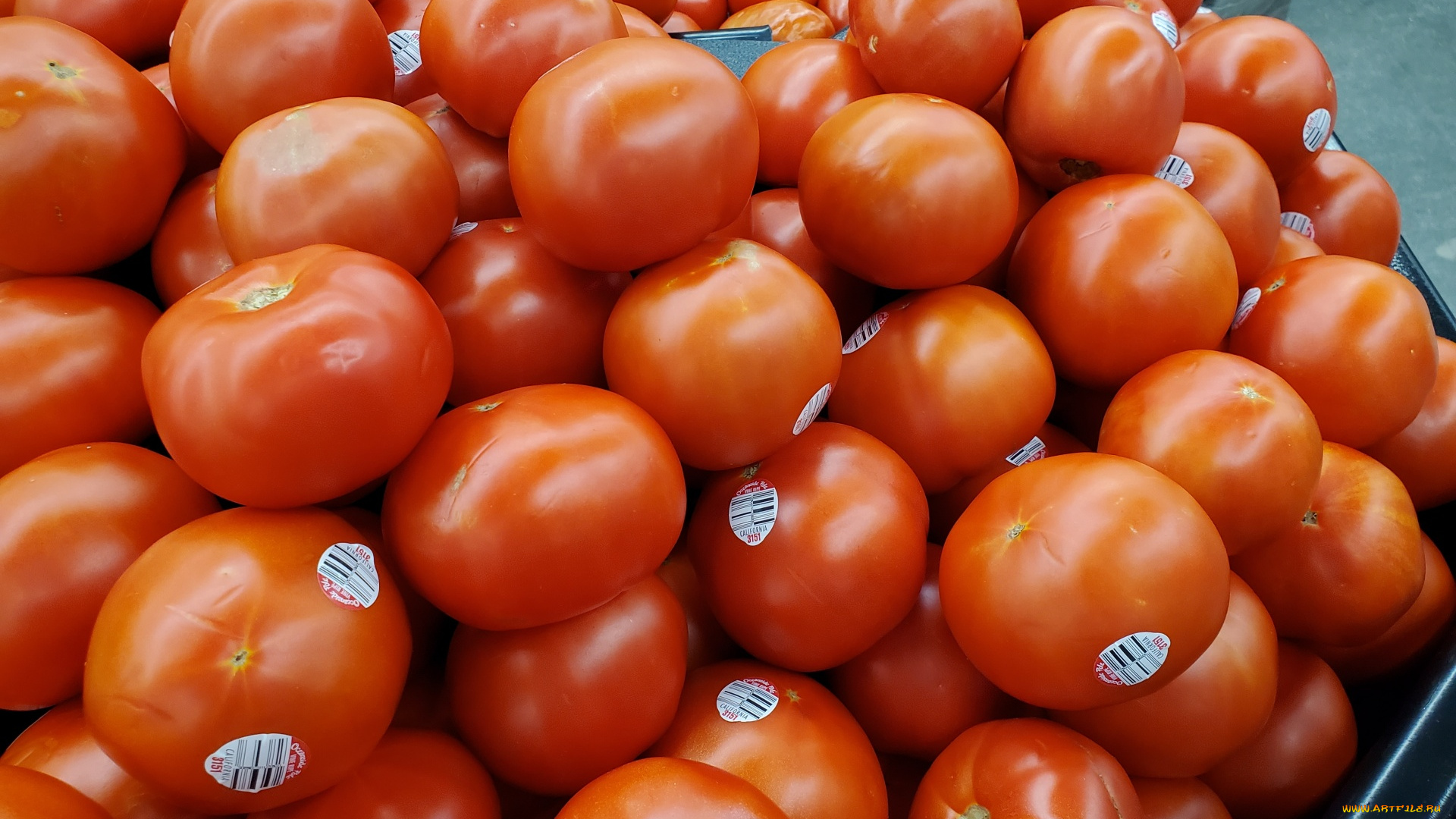 еда, помидоры, томаты