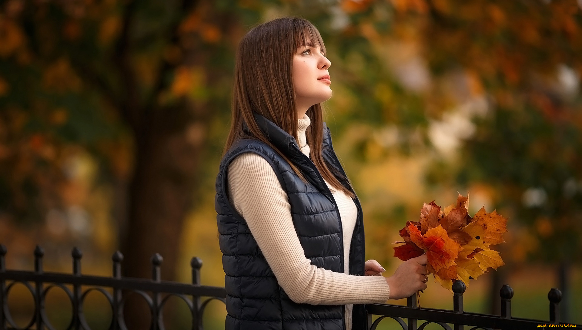 девушки, -, брюнетки, , шатенки, осень, листья