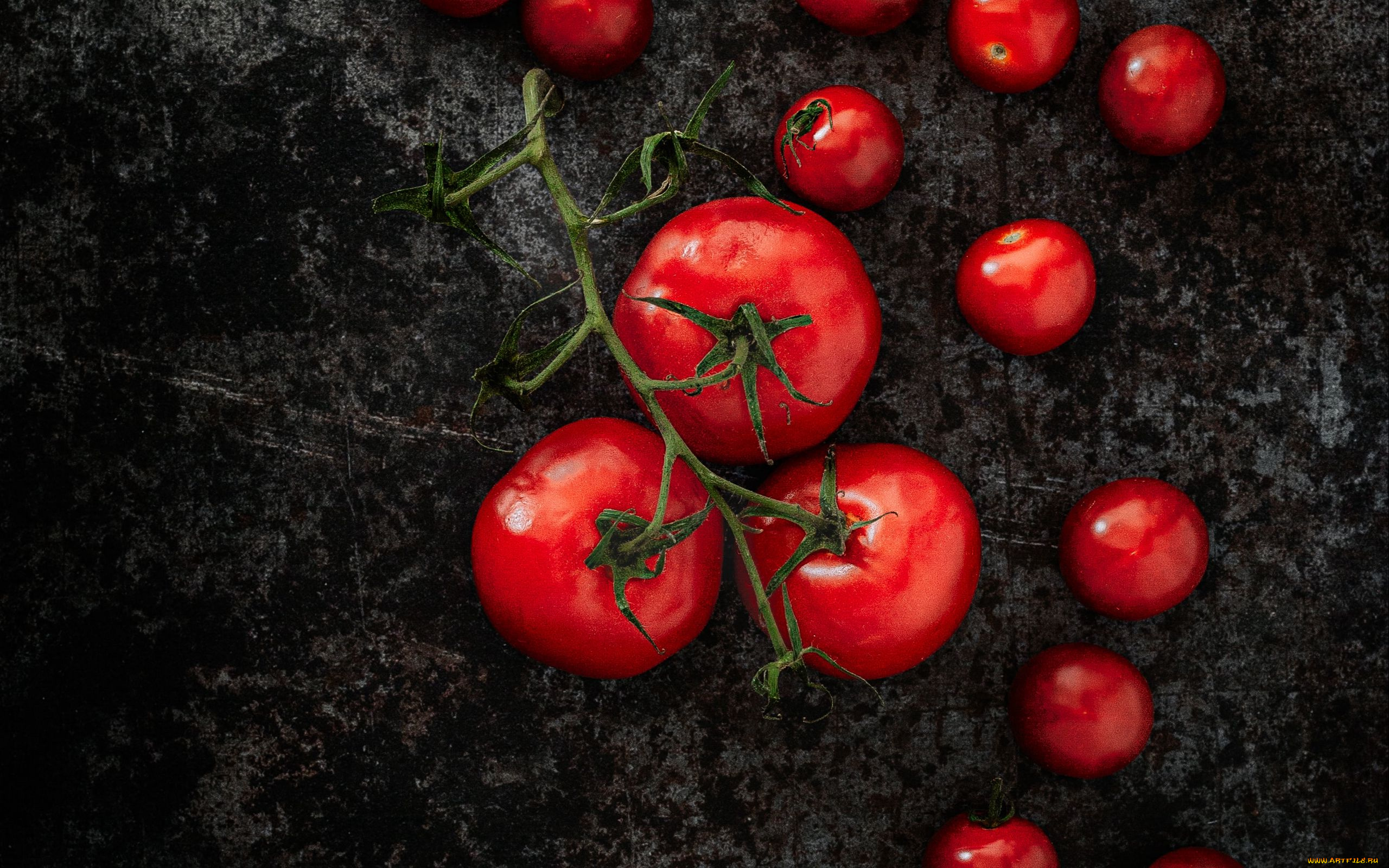 еда, помидоры, томаты