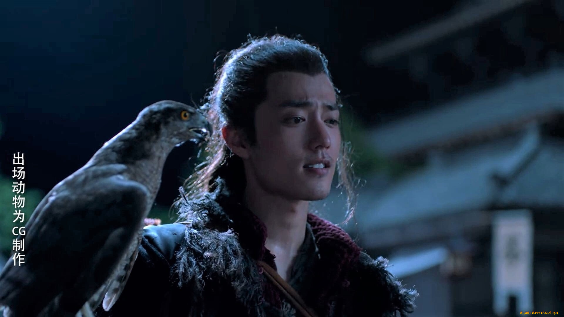 кино, фильмы, the, wolf, цзичун, птица