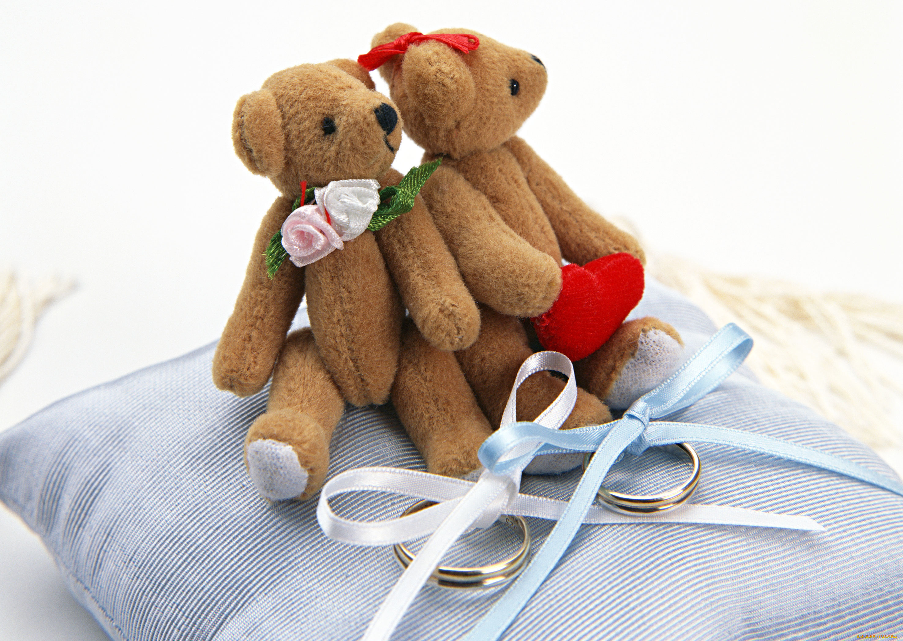 разное, игрушки, мишки, подушка, кольца