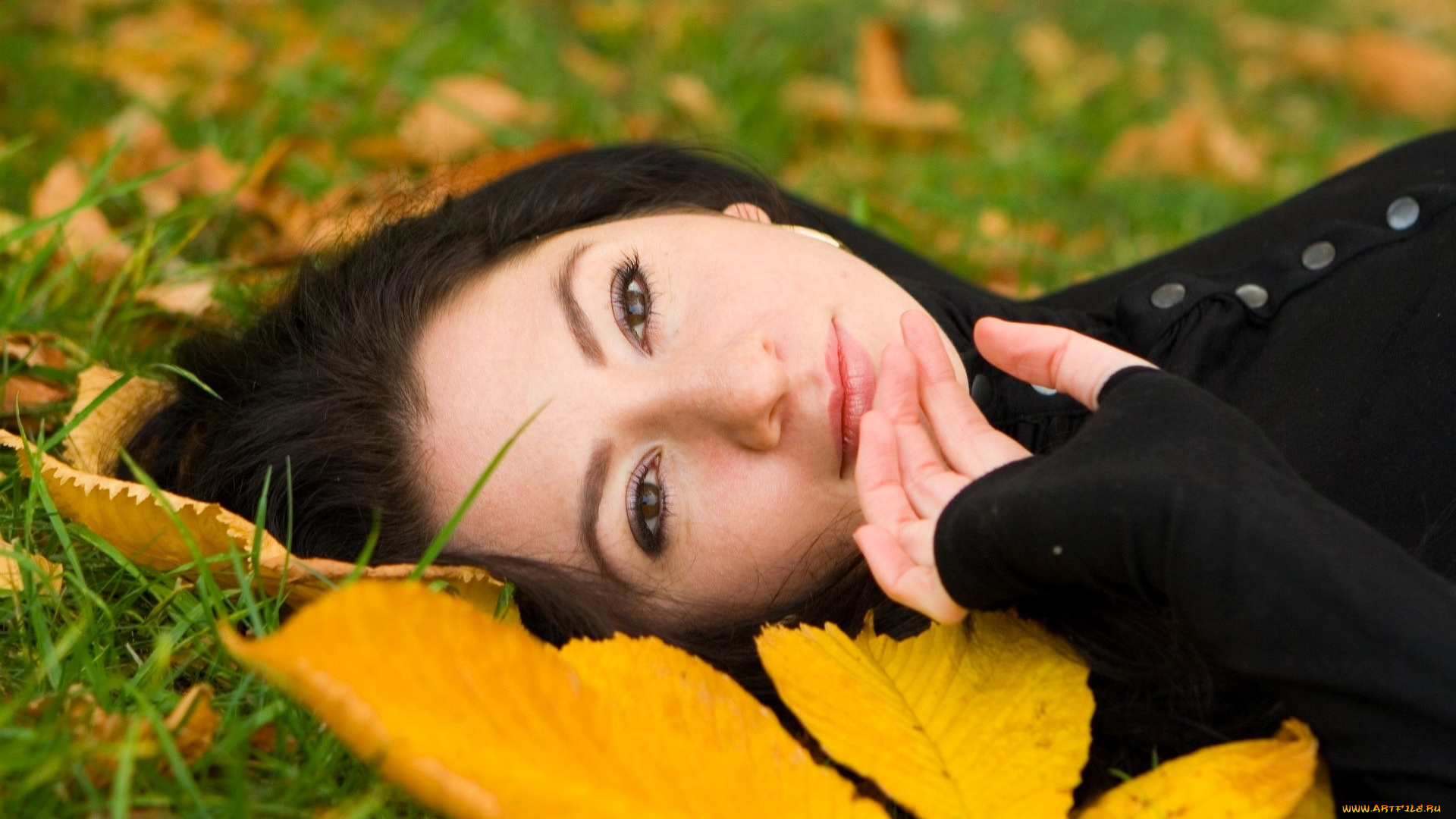 девушки, -, лица, , портреты, брюнетка, лицо, кофта, трава, листья