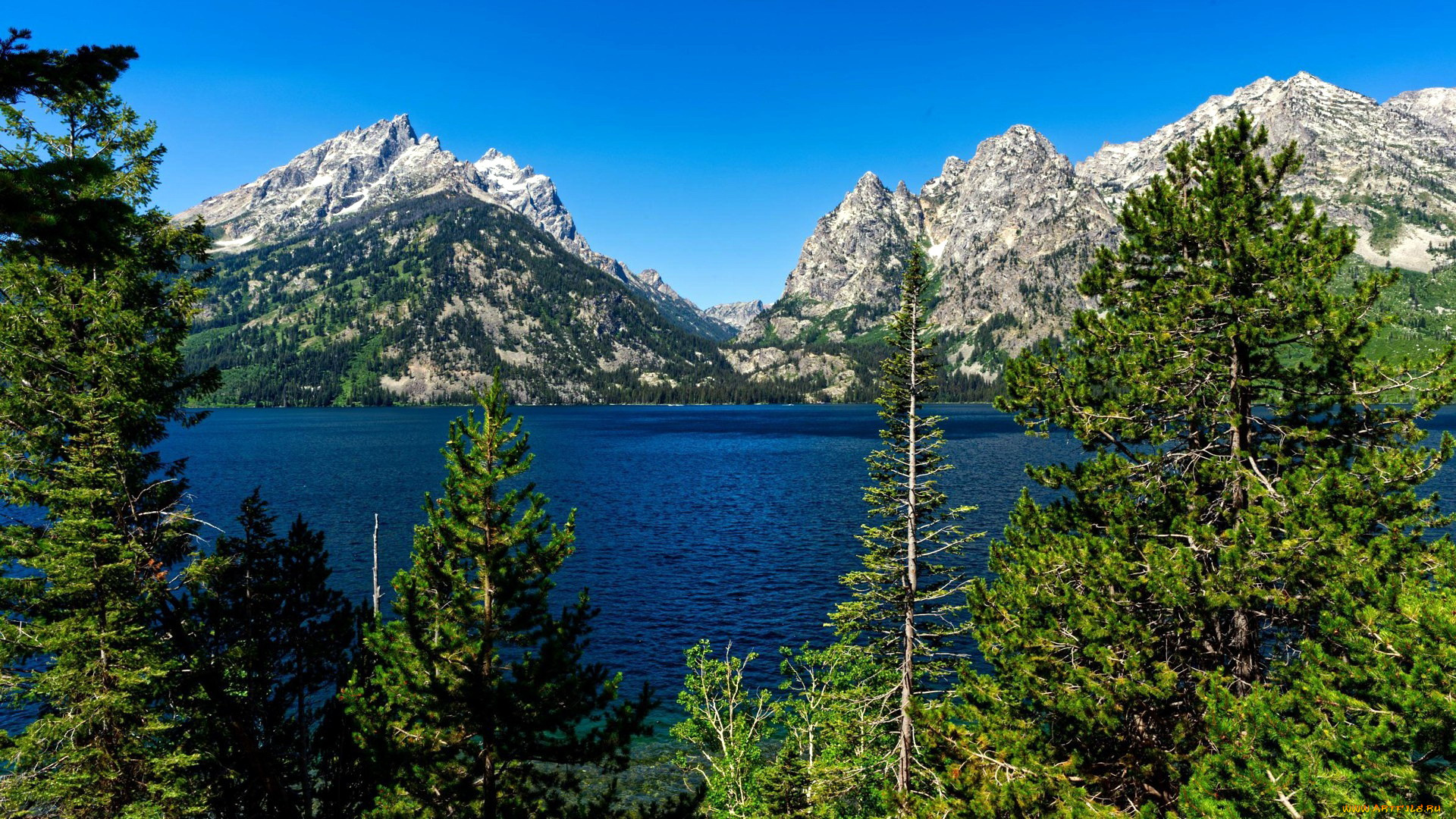 jenny, lake, grand, teton, national, park, wyoming, природа, реки, озера, jenny, lake, grand, teton, national, park
