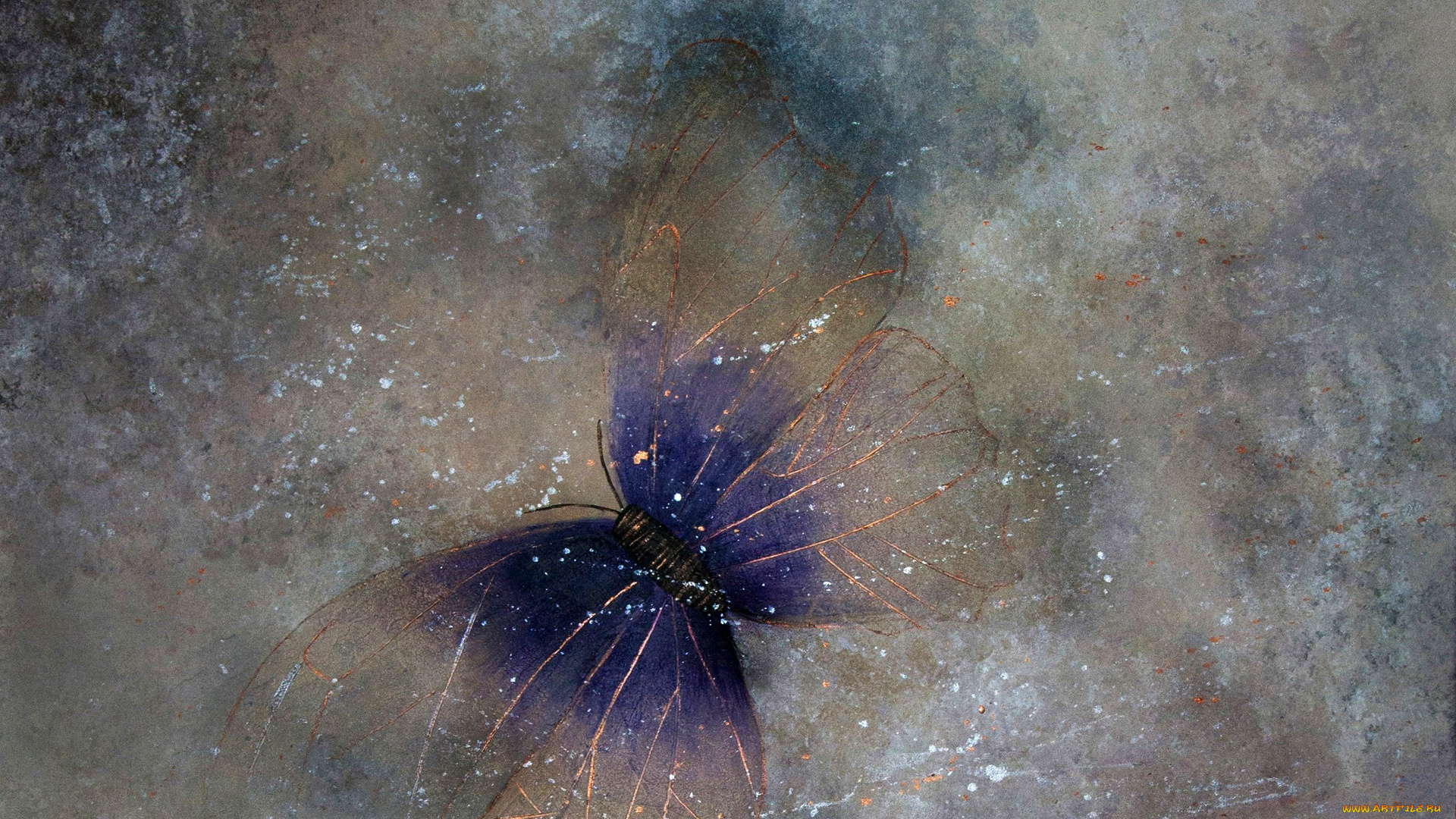 разное, компьютерный, дизайн, бабочка