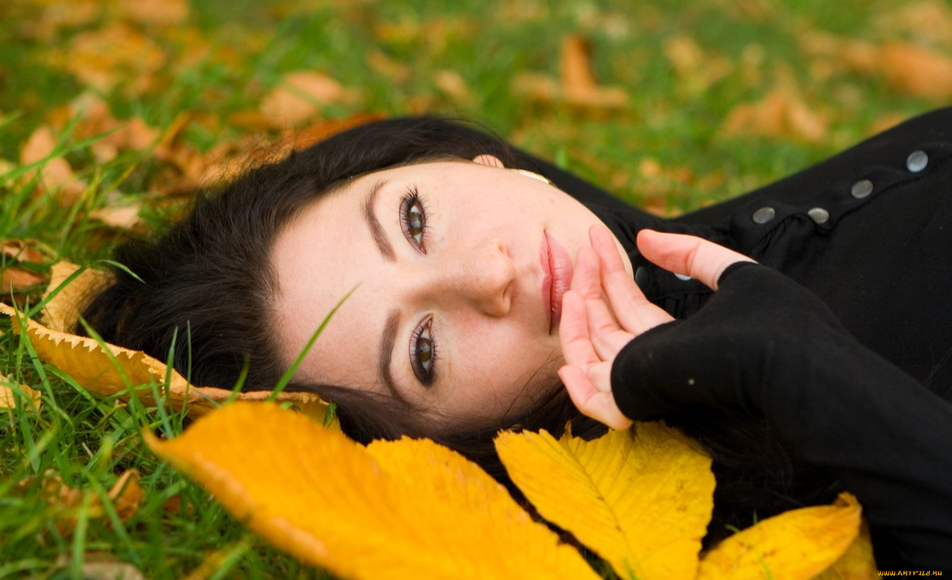 девушки, -, лица, , портреты, брюнетка, лицо, кофта, трава, листья