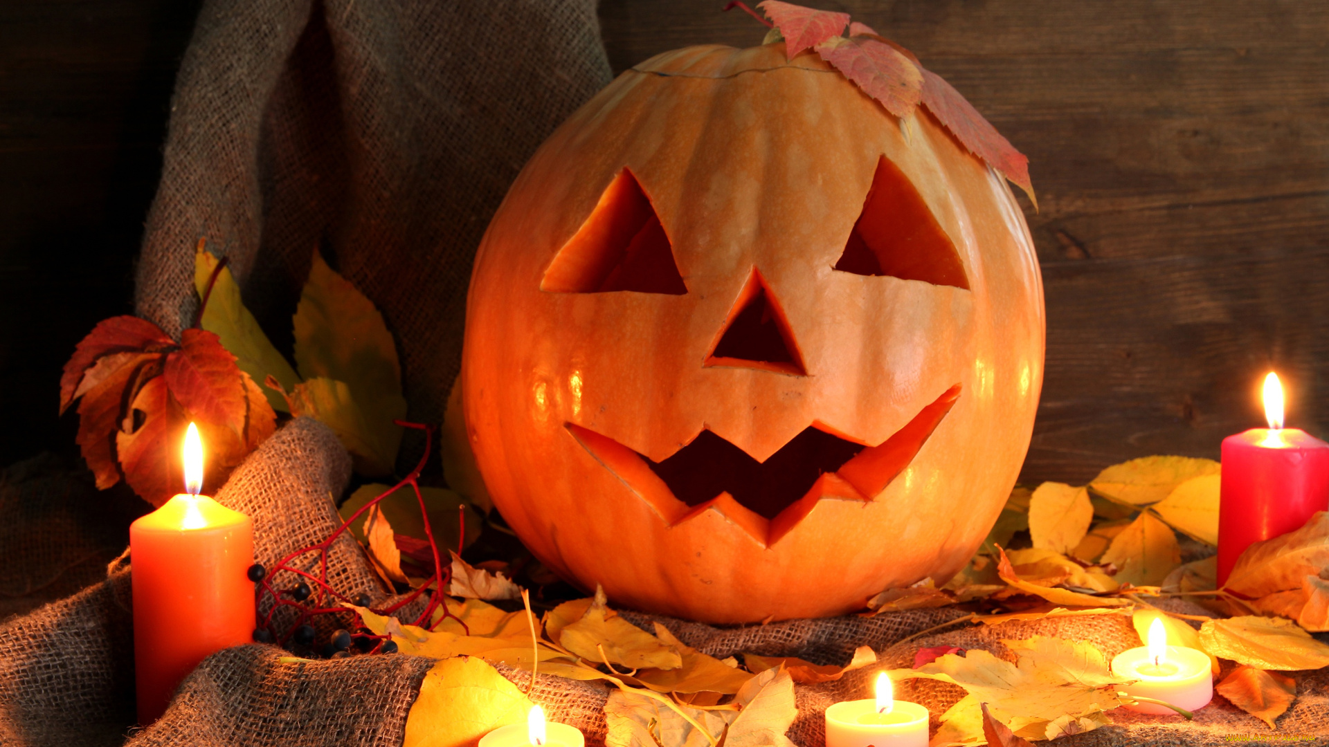 праздничные, хэллоуин