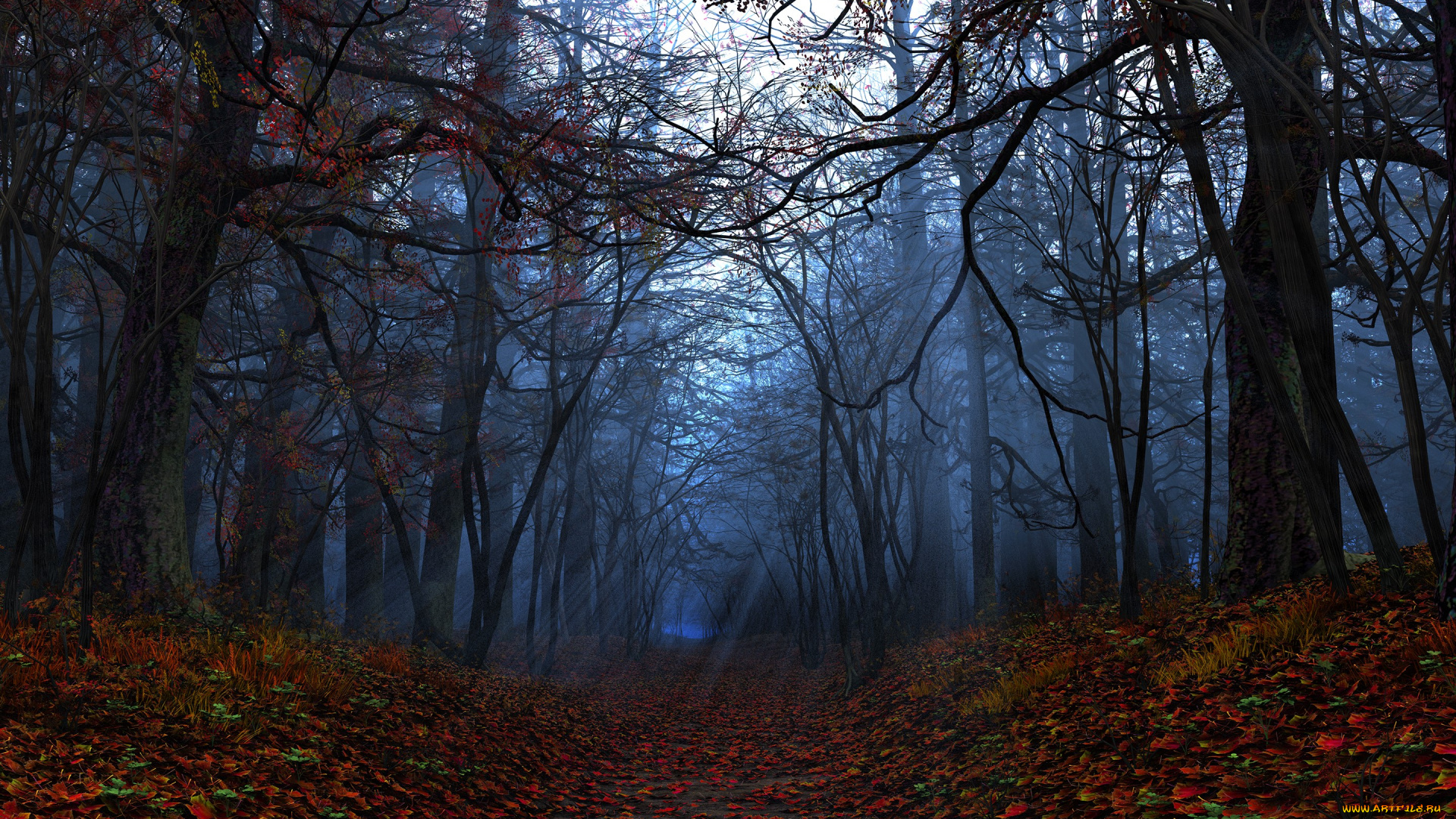 природа, лес, осень, тропа, листья