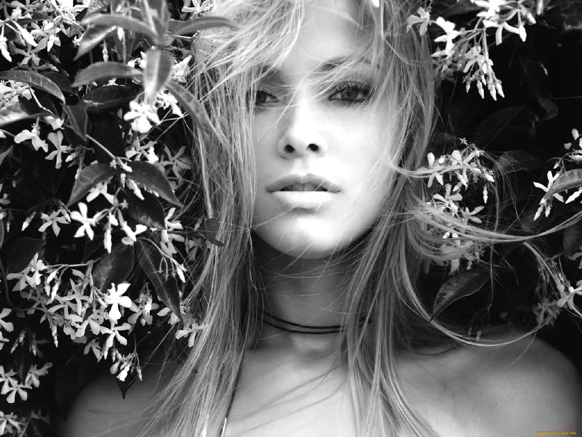 девушки, kristanna, loken, черно-белая, лицо, блондинка, ветки