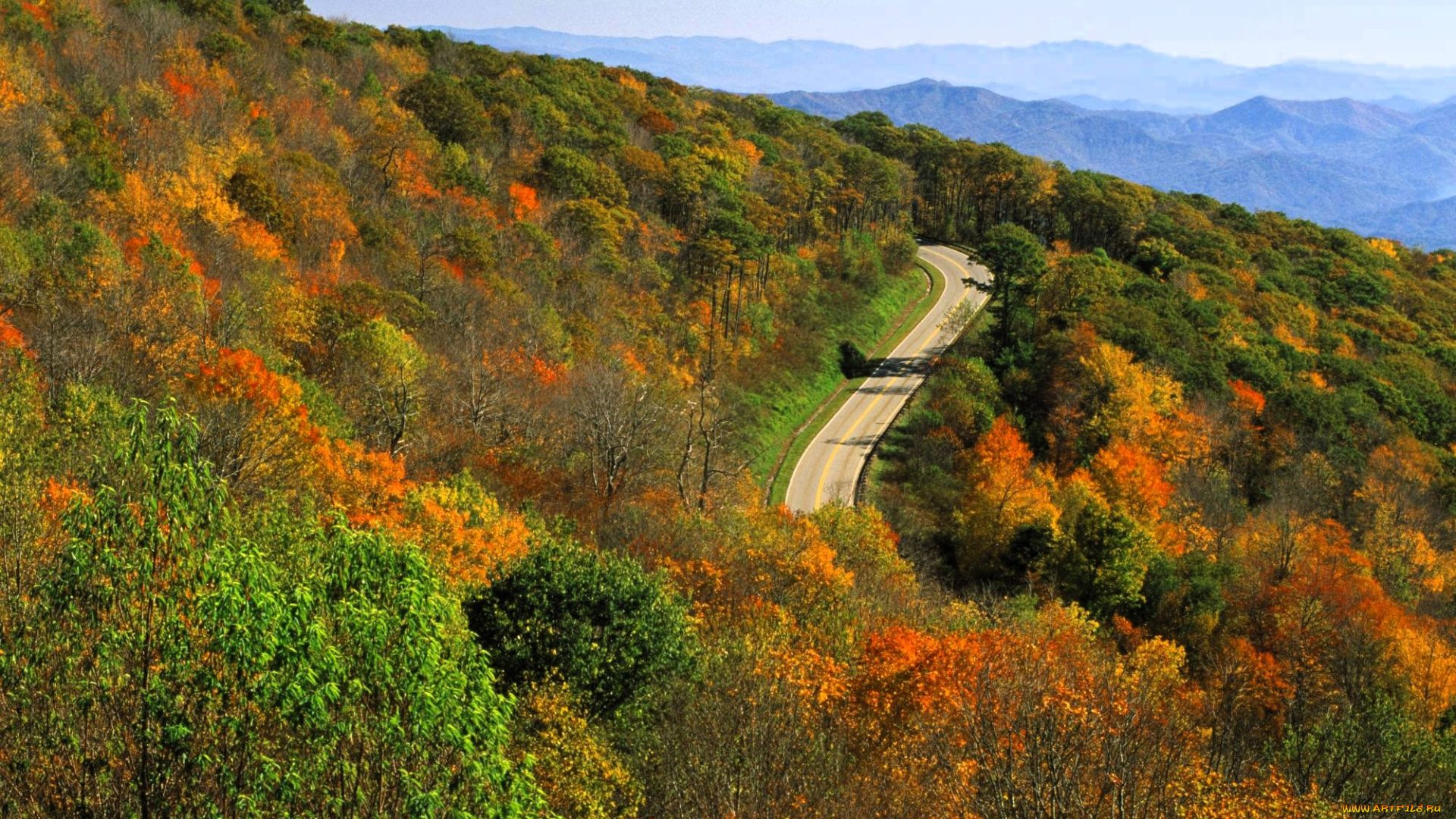 природа, горы, лес, осень, дорога, шоссе