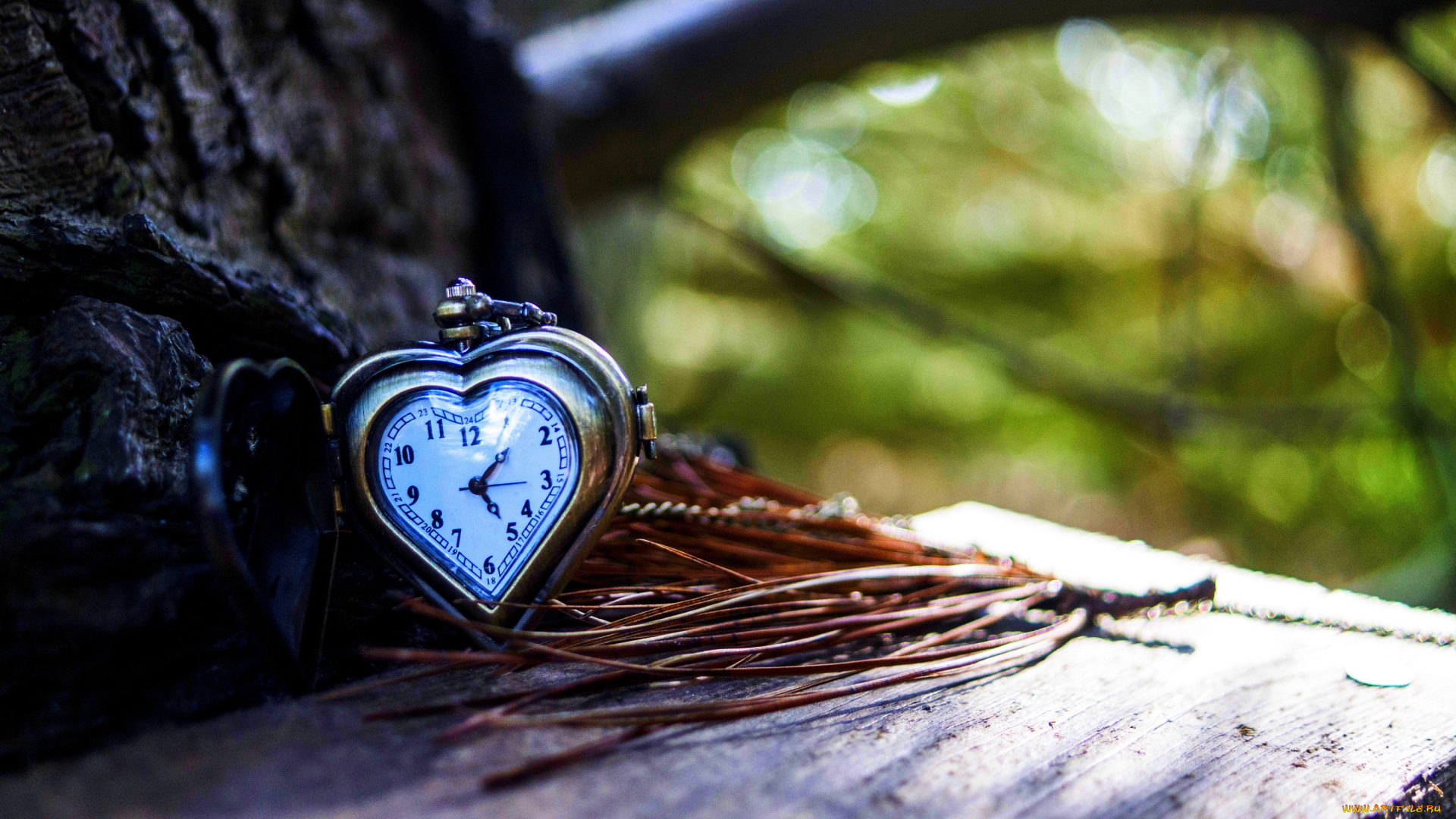 разное, часы, , часовые, механизмы, дерево, сердечко, хвоя, скамейка