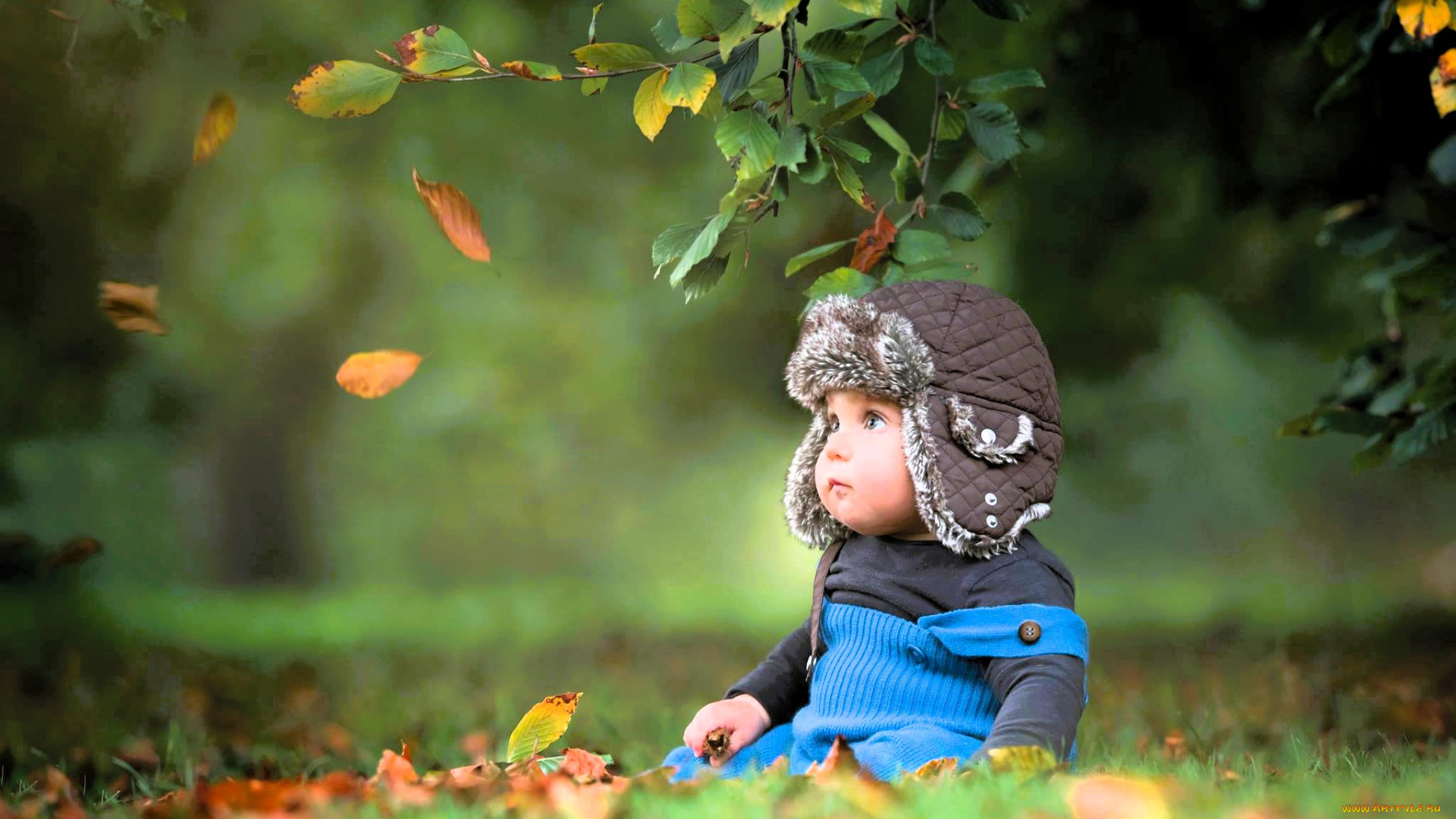 разное, дети, ребенок, шапка, свитер, комбинезон, деревья, листья, осень, трава