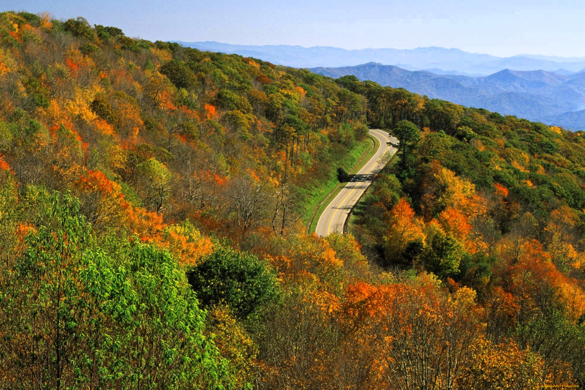природа, горы, лес, осень, дорога, шоссе