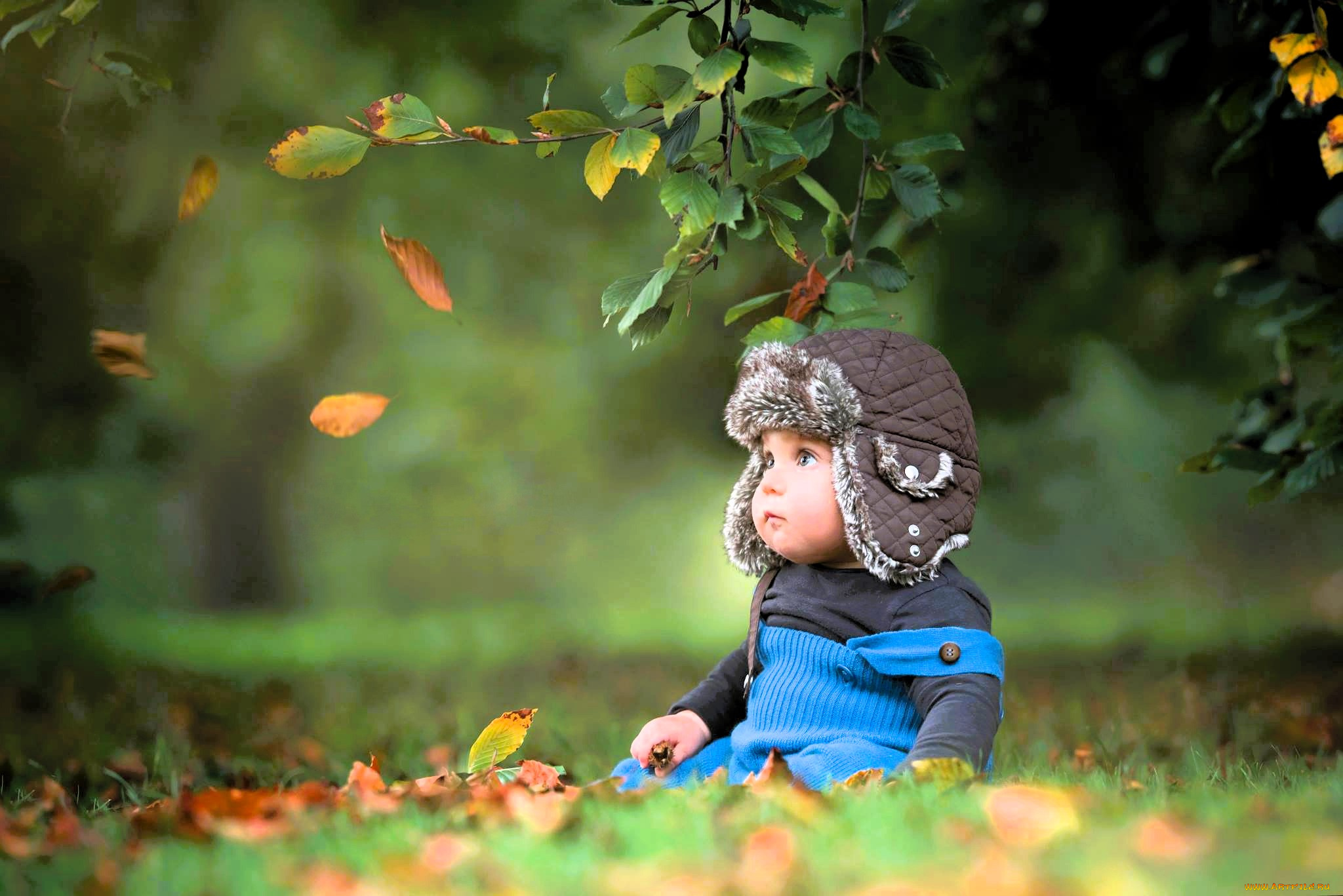 разное, дети, ребенок, шапка, свитер, комбинезон, деревья, листья, осень, трава