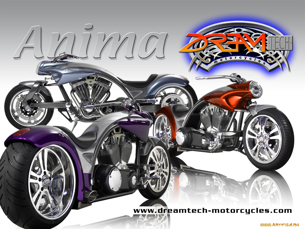 мотоциклы, customs