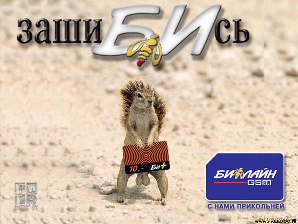 юмор, приколы