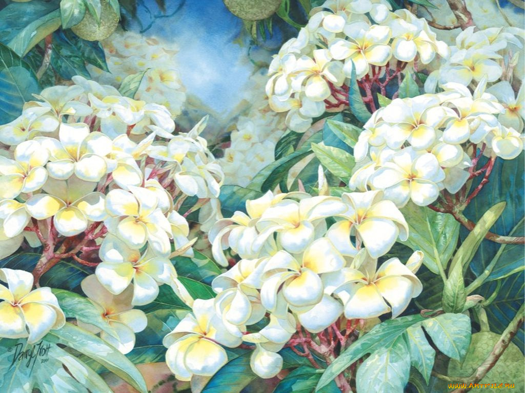 darryl, trott, рисованные