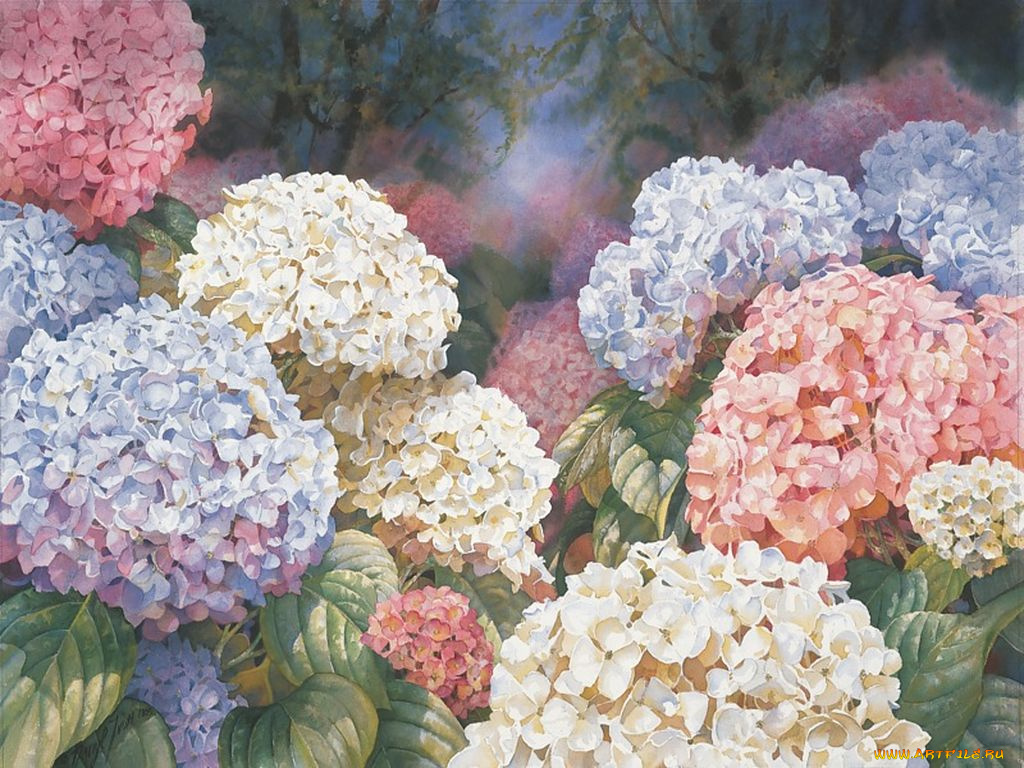 darryl, trott, рисованные