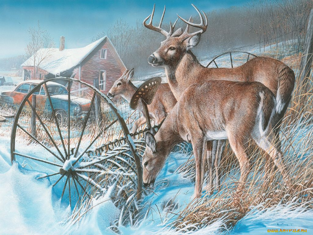 kevin, daniel, рисованные