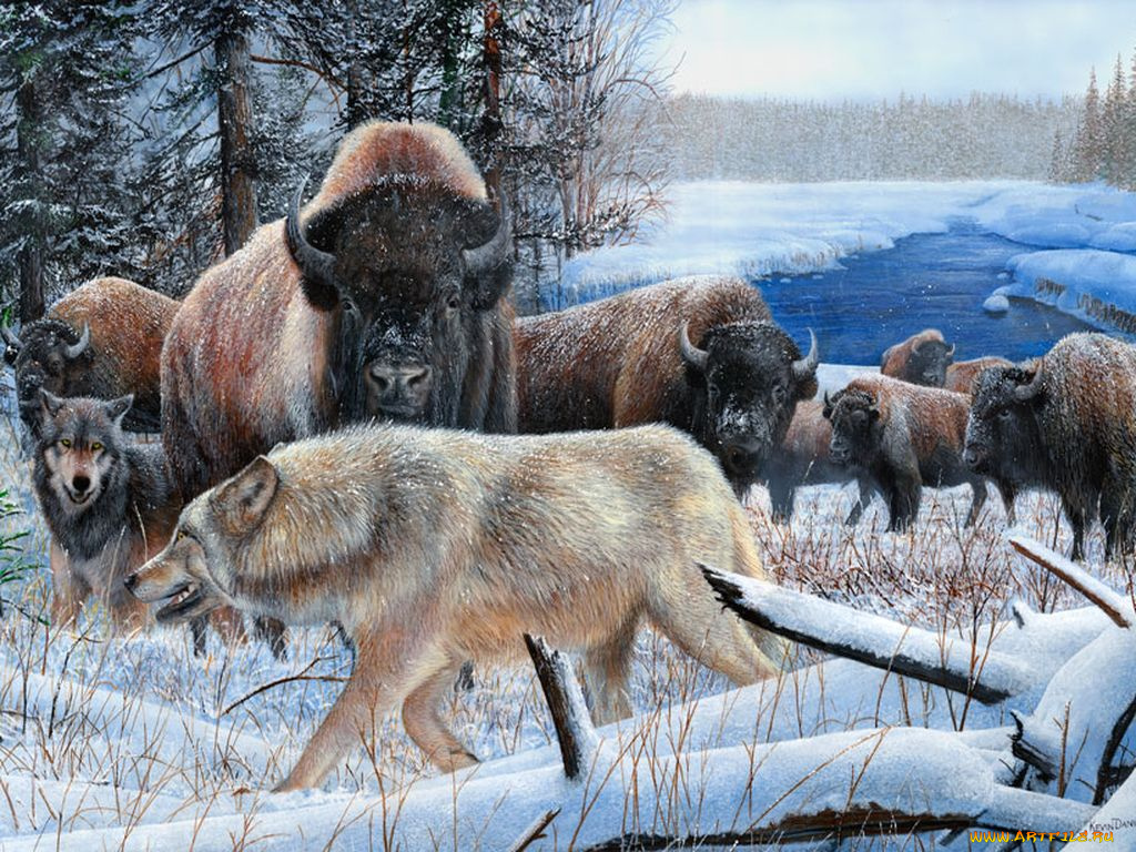 kevin, daniel, рисованные