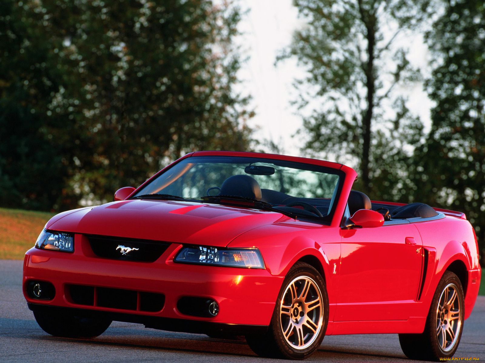 автомобили, mustang