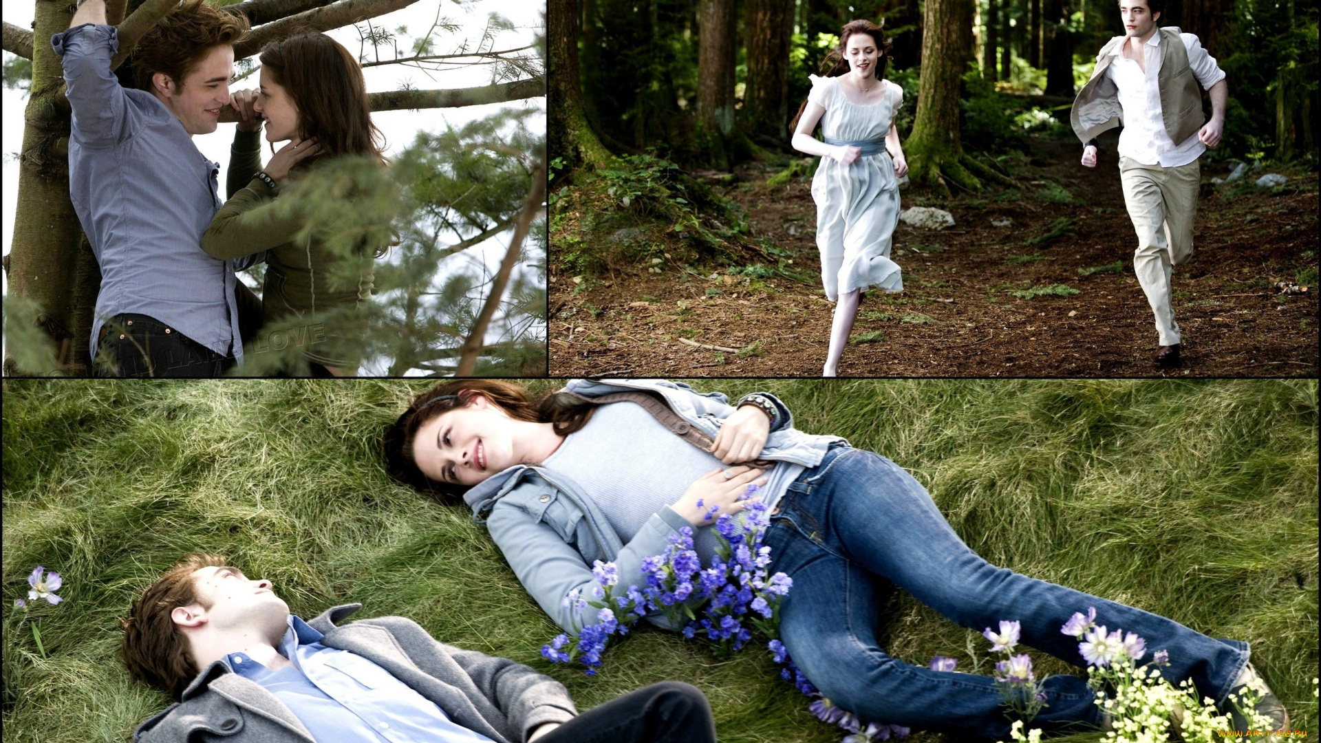 кино, фильмы, the, twilight, saga, eclipse