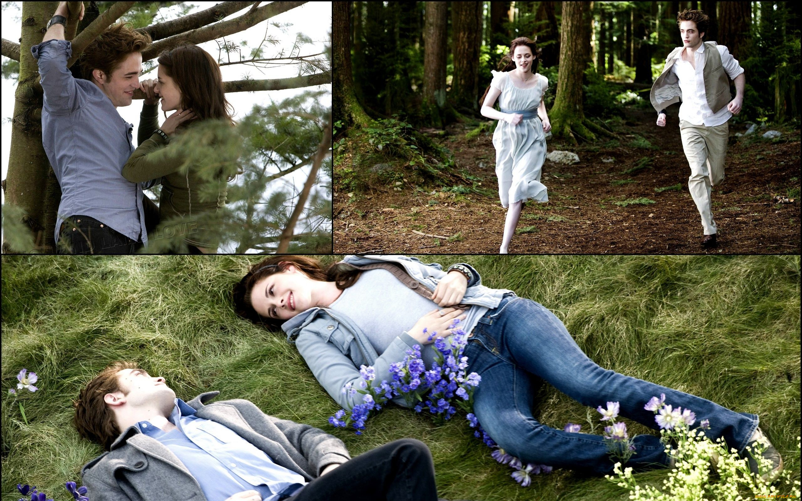 кино, фильмы, the, twilight, saga, eclipse