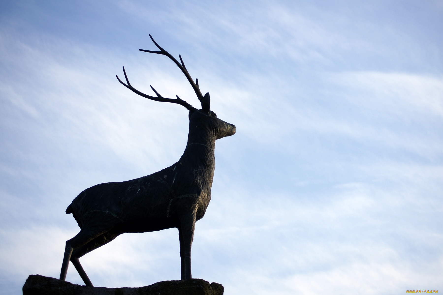 разное, рельефы, статуи, музейные, экспонаты, олень
