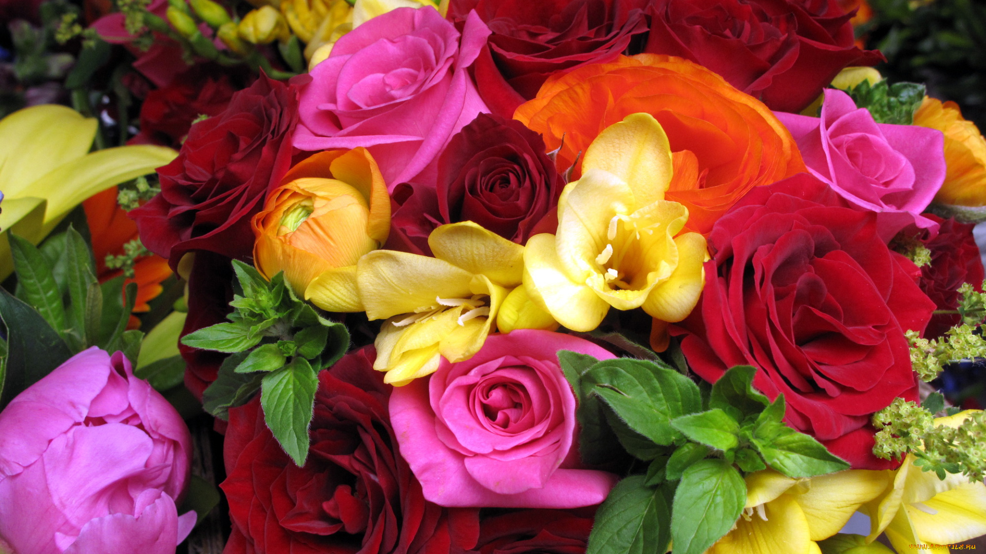 цветы, букеты, композиции, розы