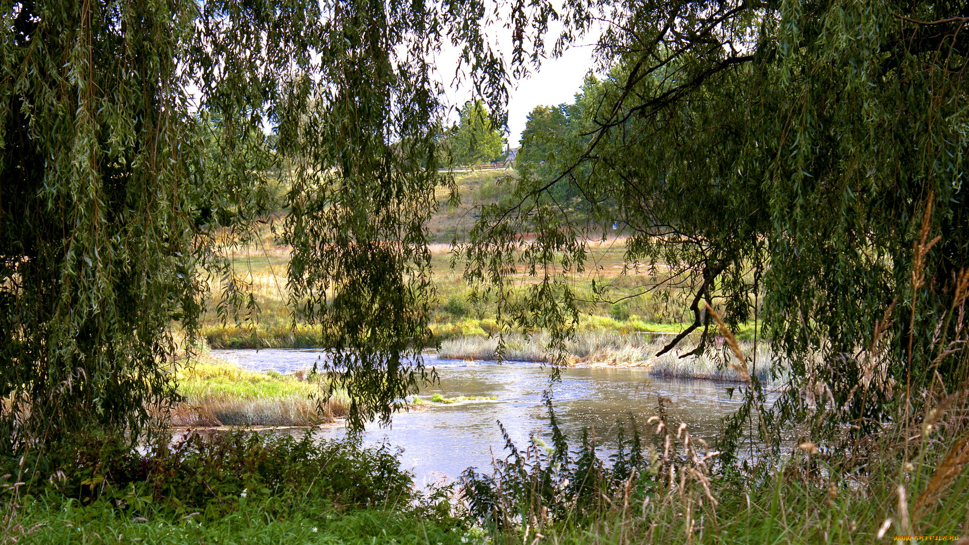 латвия, кулдига, природа, реки, озера, река, лес