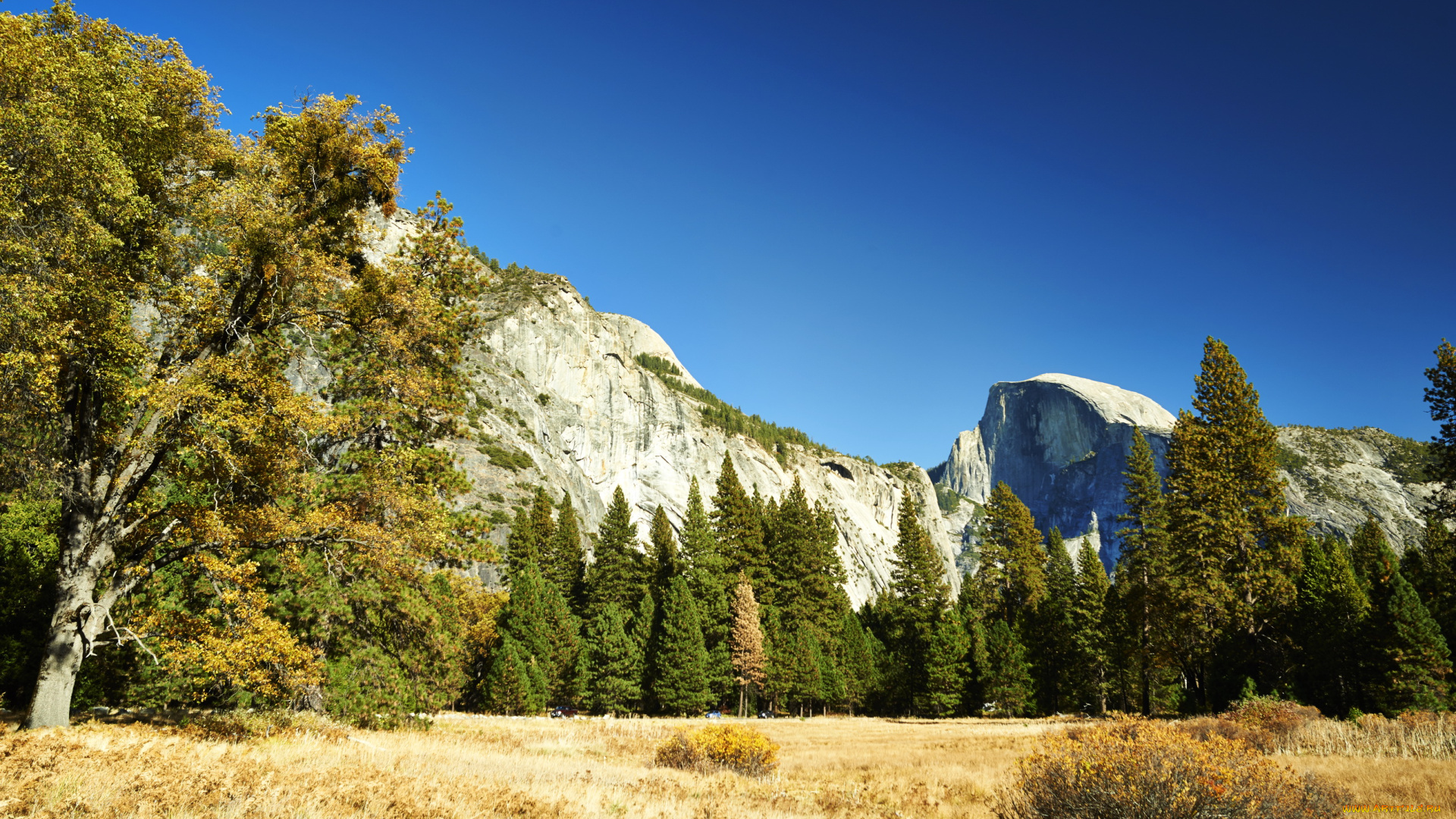california, , , , yosemite, national, park, природа, горы